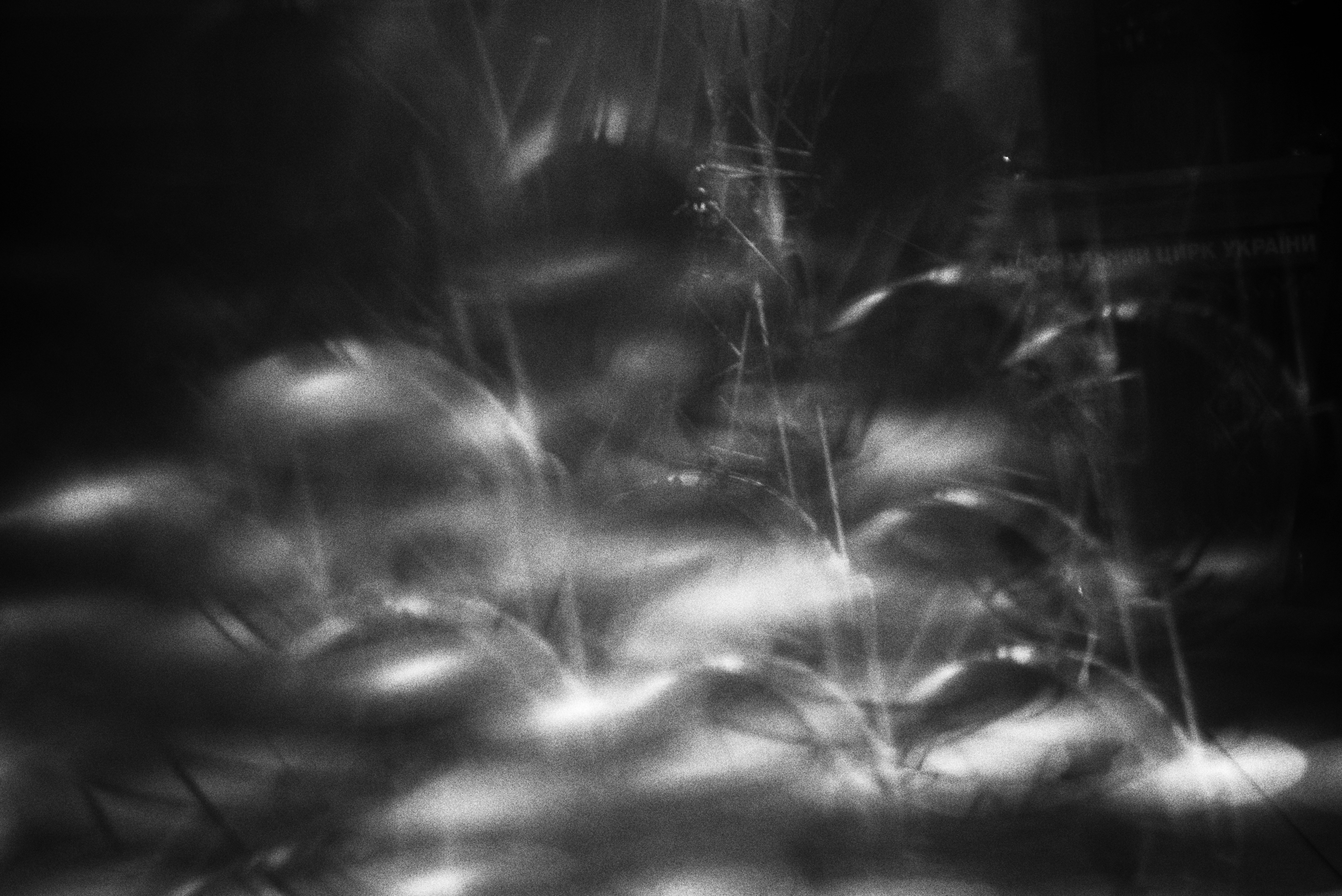 Photo by cherstve_pechivo