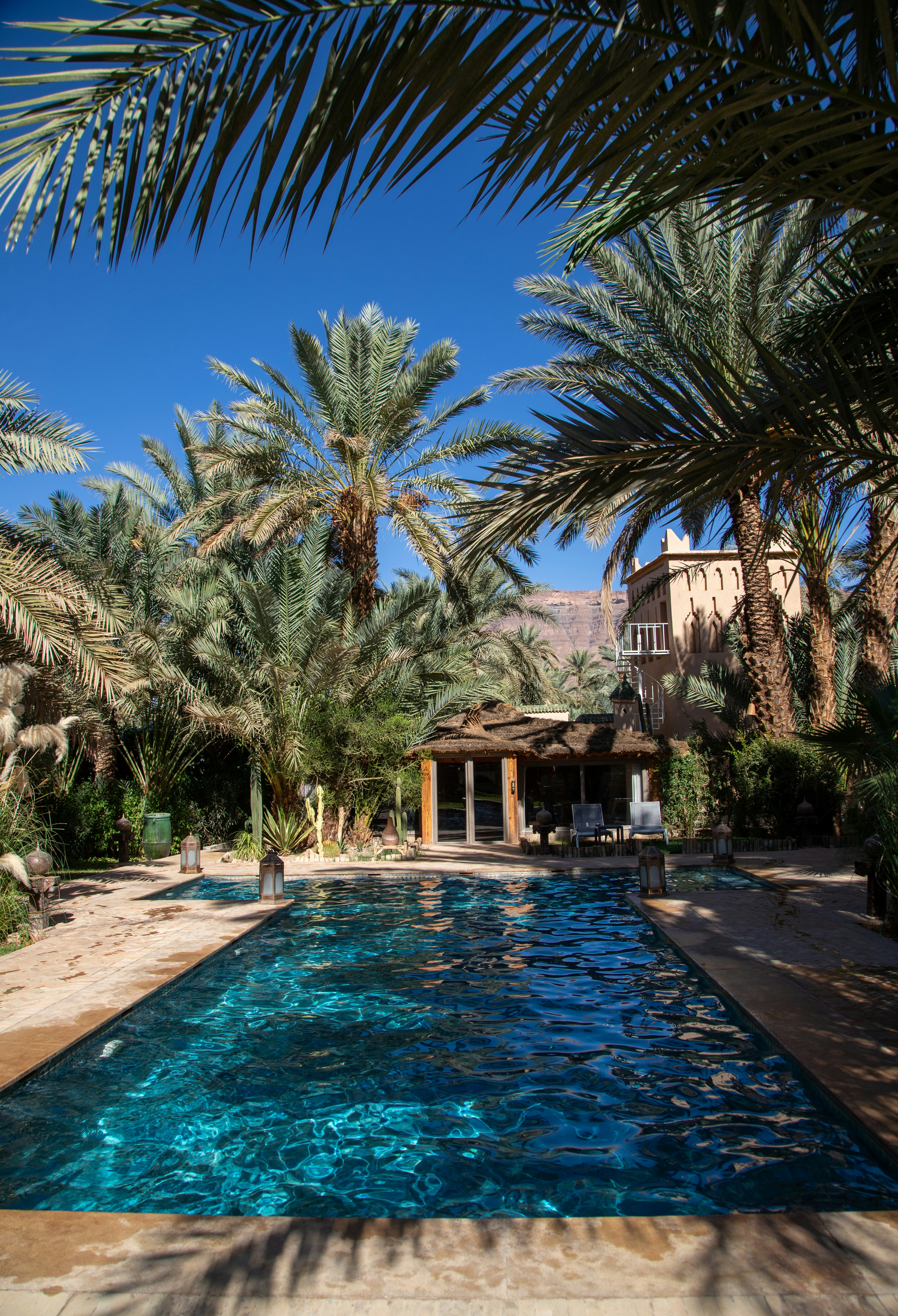 Una tranquila piscina rodeada de palmeras.