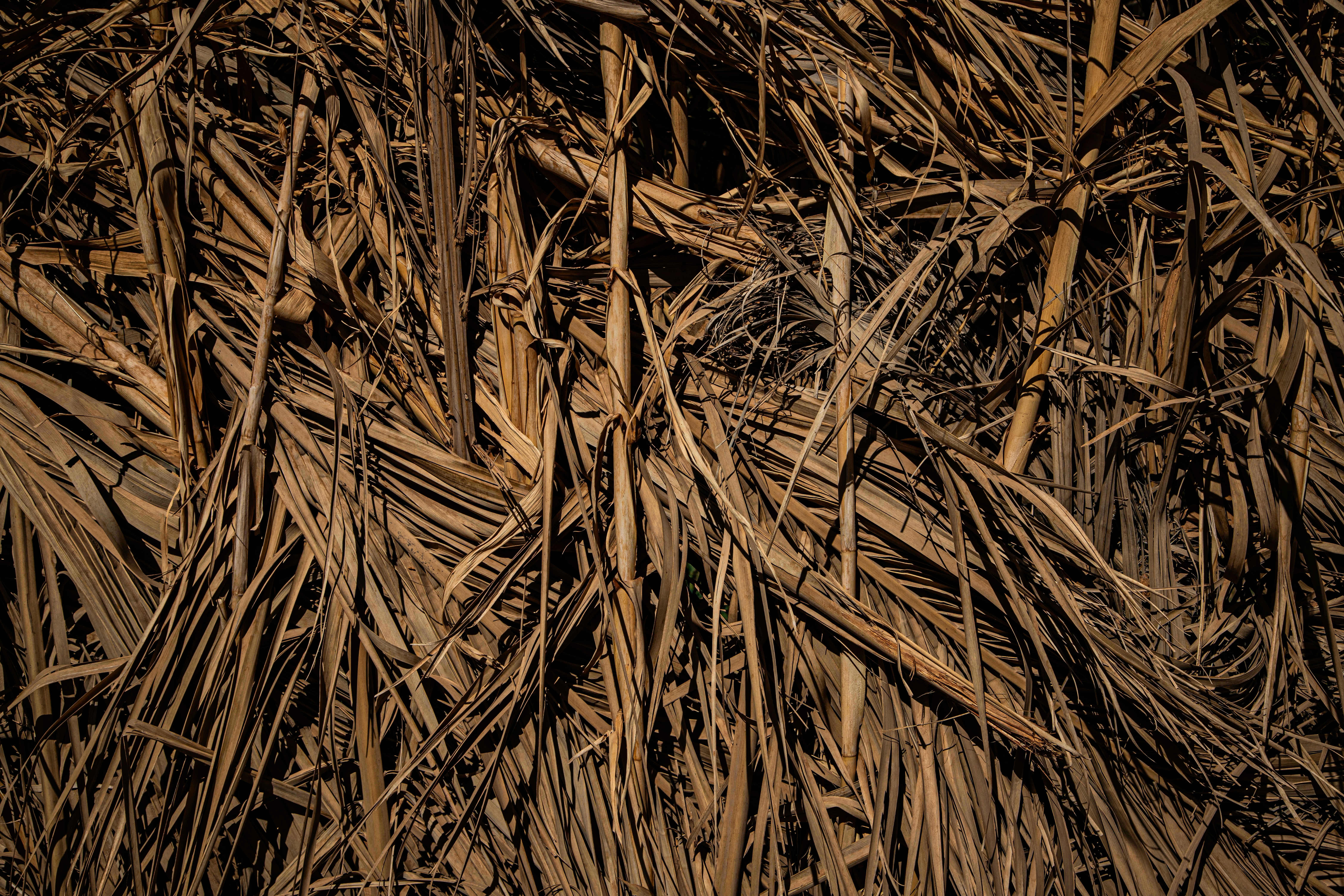 The Impact of Eco-Friendly Materials on Manufacturing