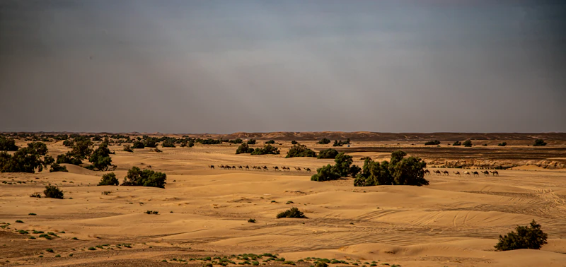 Best Things to Do in Marari for First Timers (and Repeat Visitors)