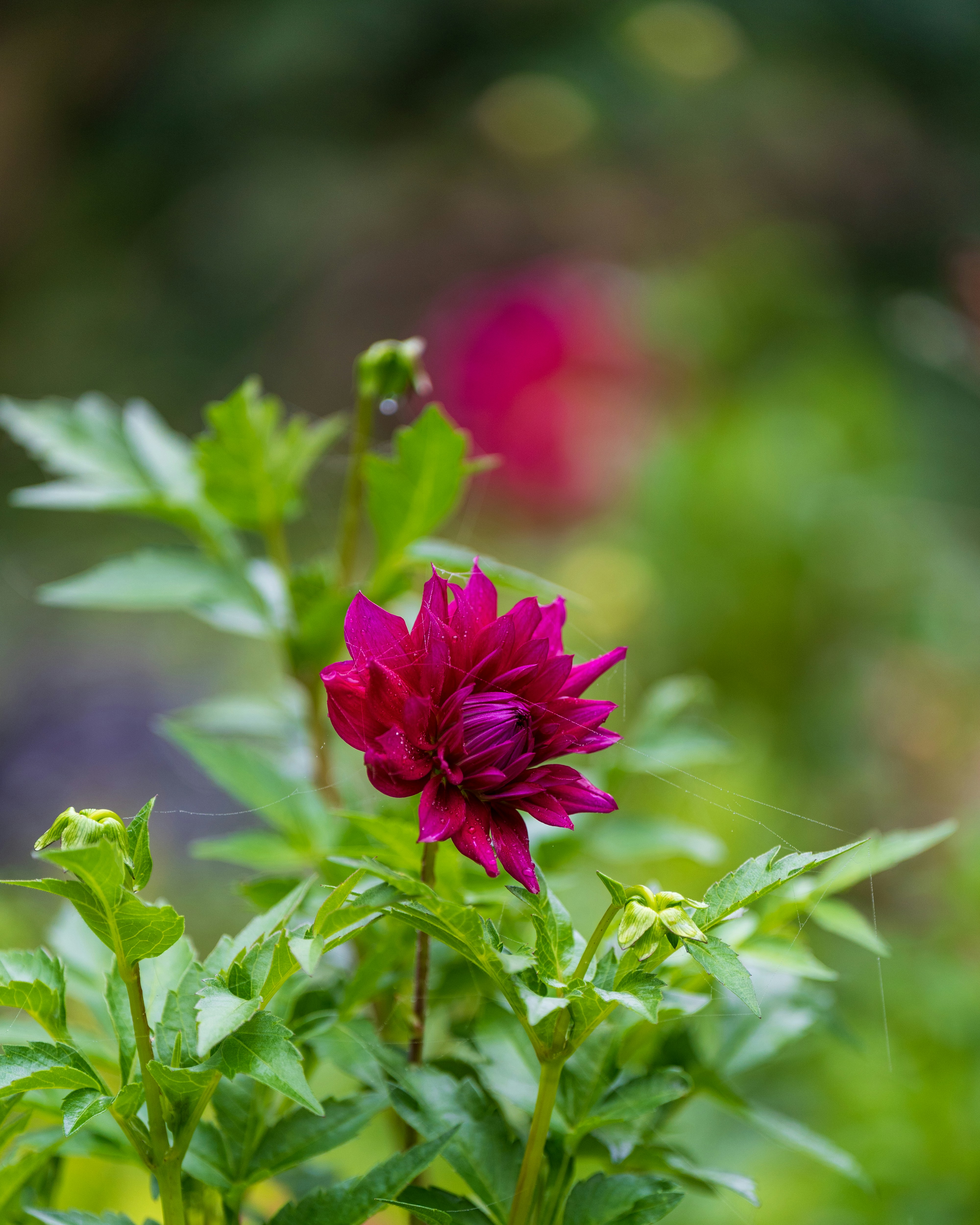 Photo by bangscreative