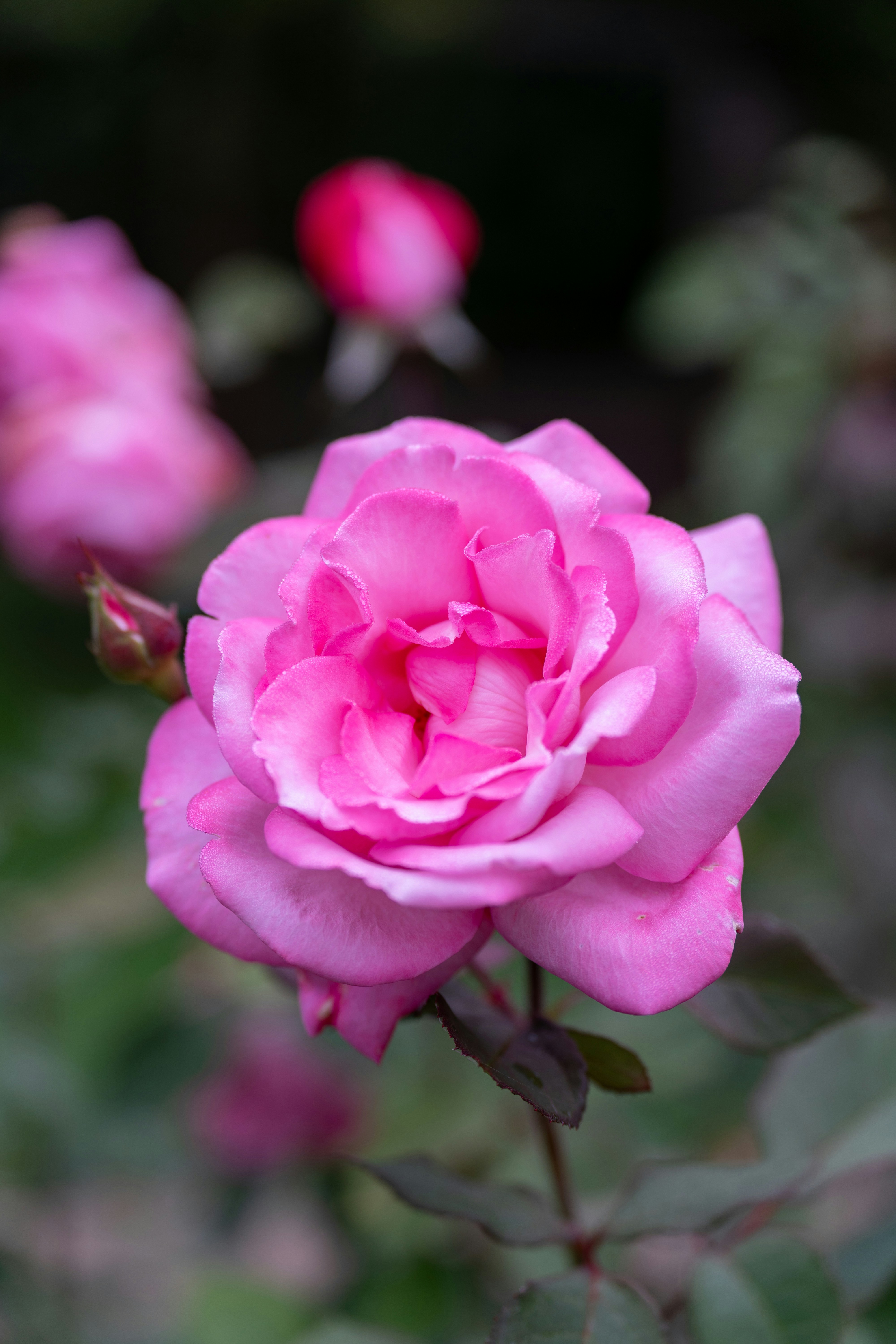 Photo by bangscreative