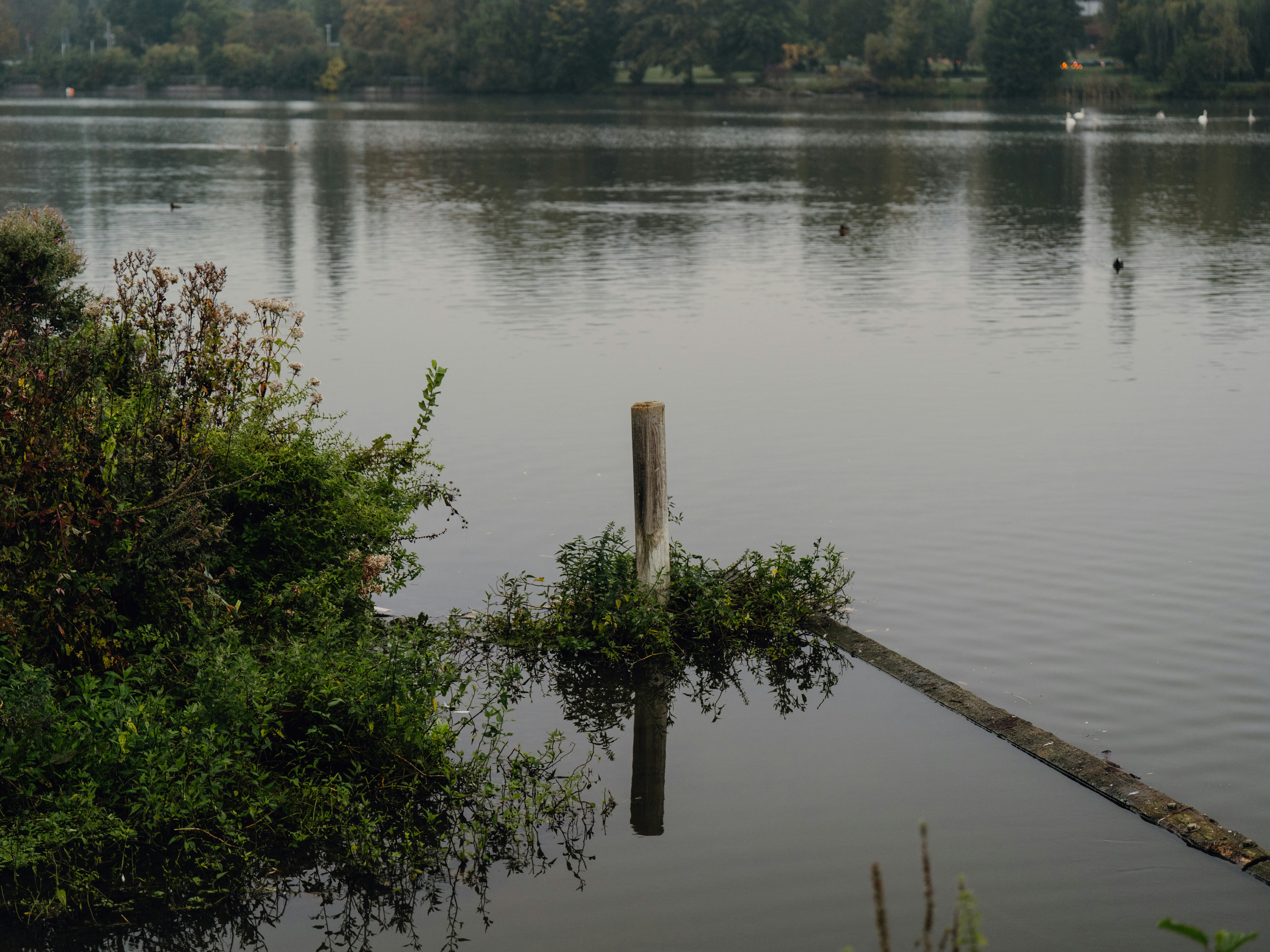 Photo by bangscreative