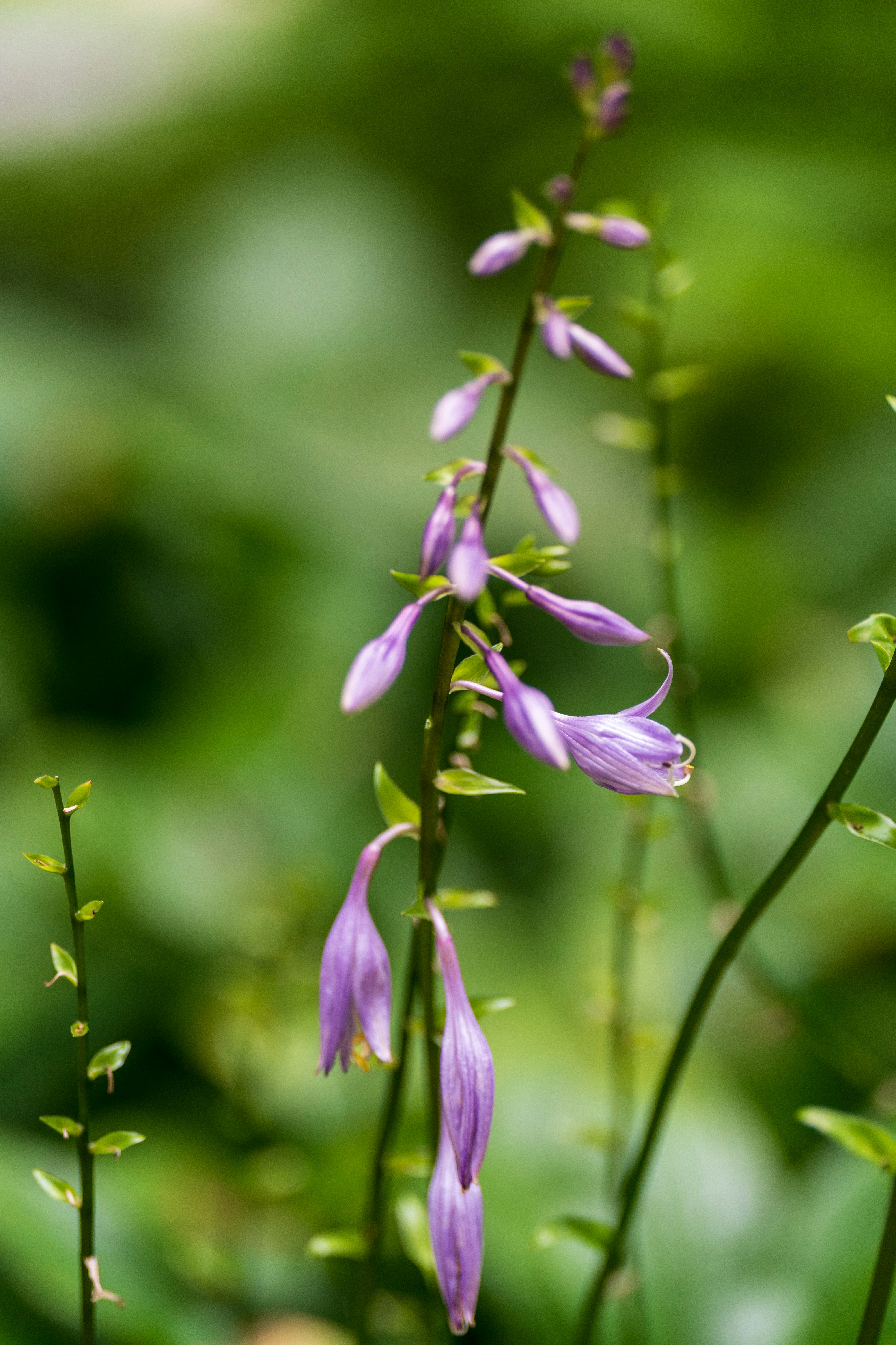 Photo by bangscreative