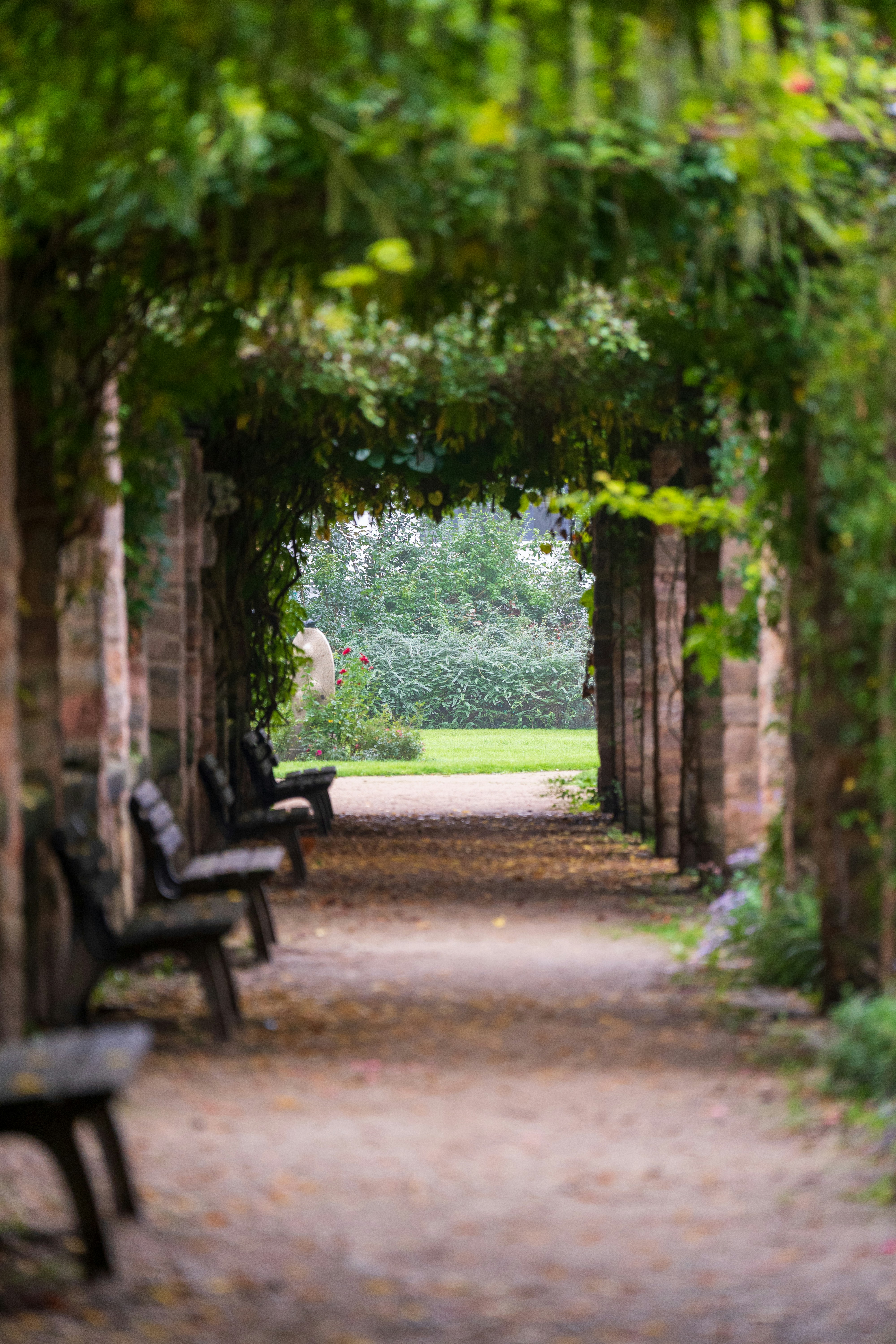 Photo by bangscreative