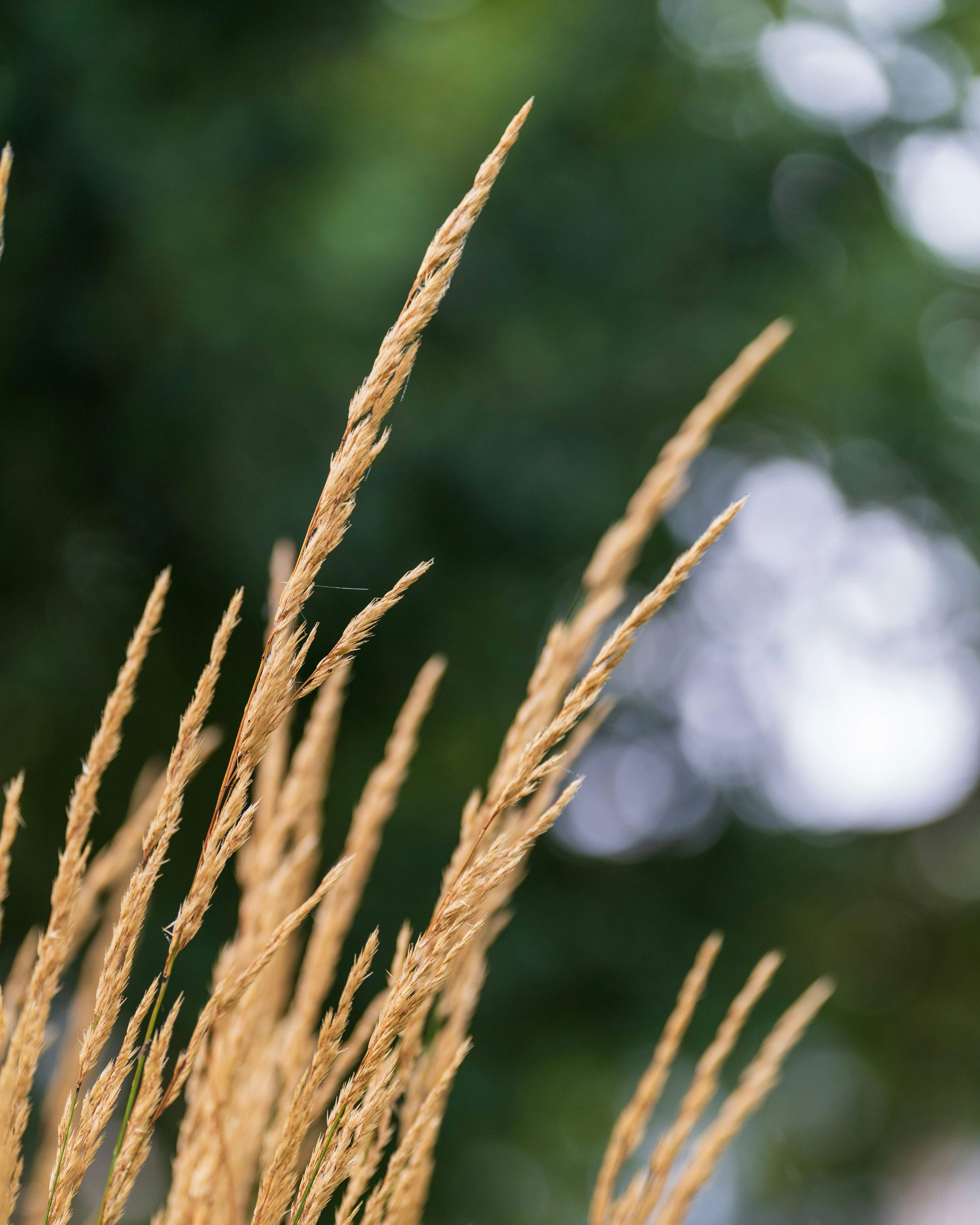 Photo by bangscreative