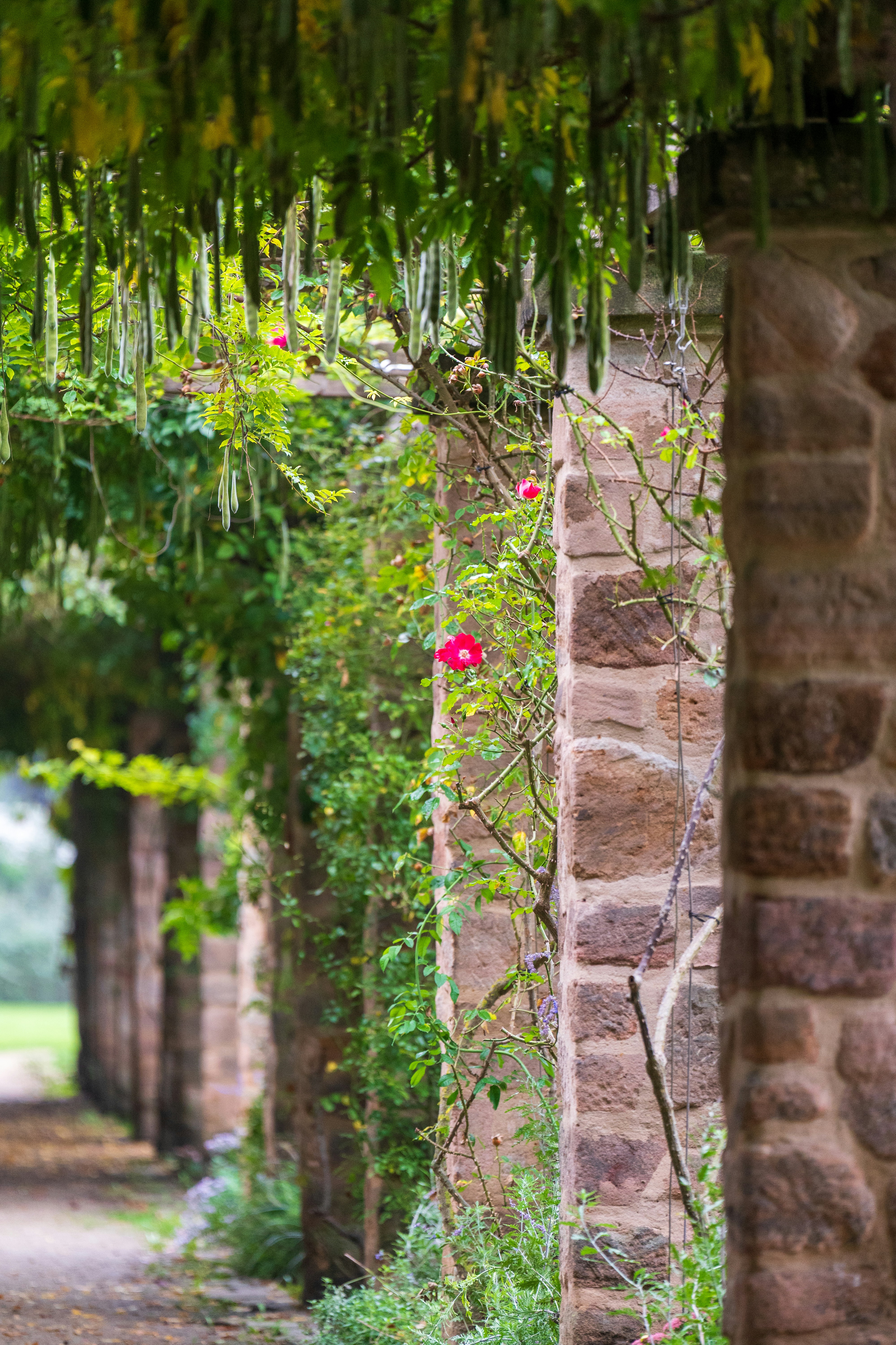 Photo by bangscreative