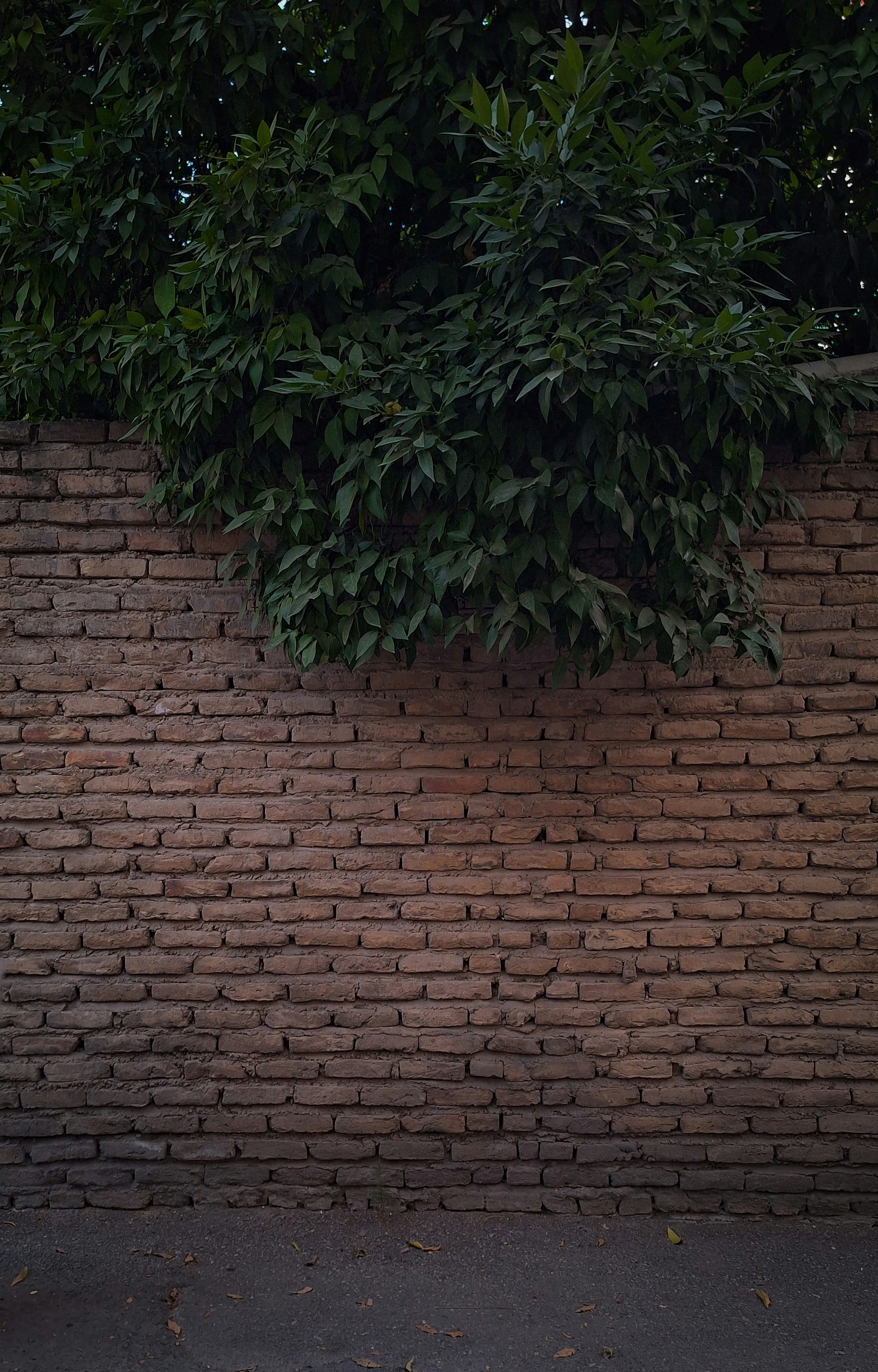 rustic outdoor wallpaper, wallpaper, Rustic Outdoor Patio Ideas: Creating Cozy Spaces 3