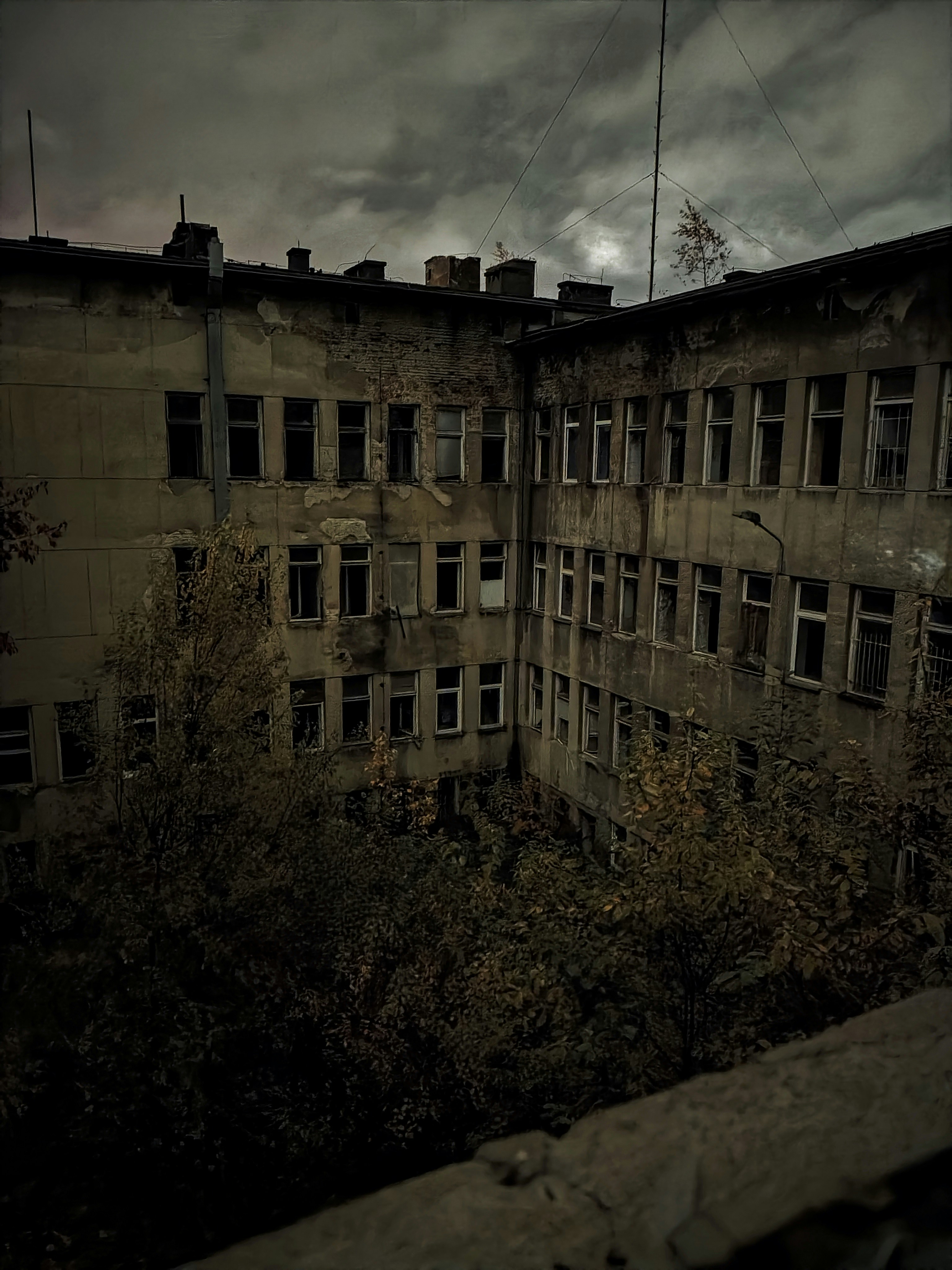 Photo by misiekphotography