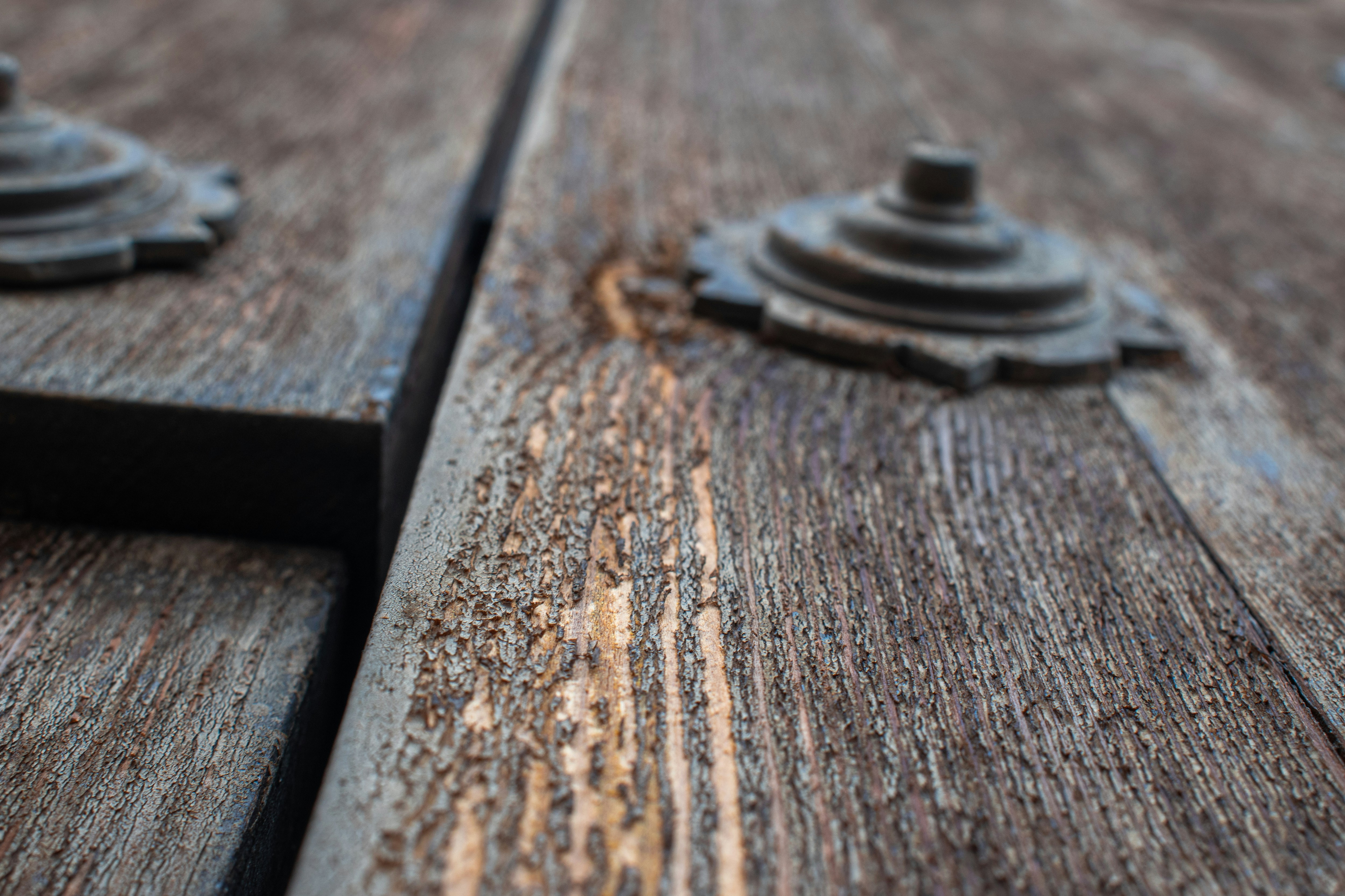 Photo by juanmirandaferris