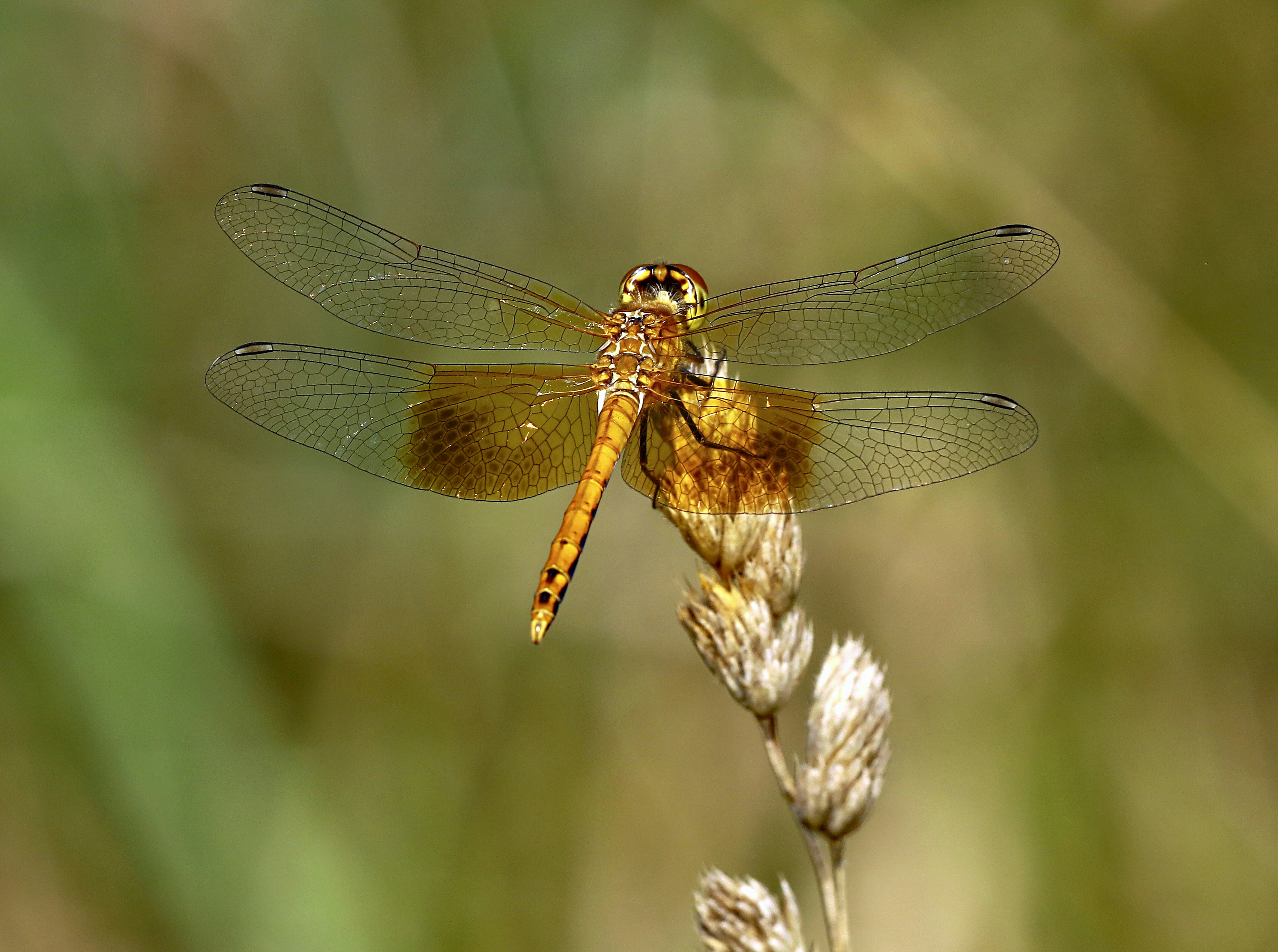 Photo by telliottmbamsc