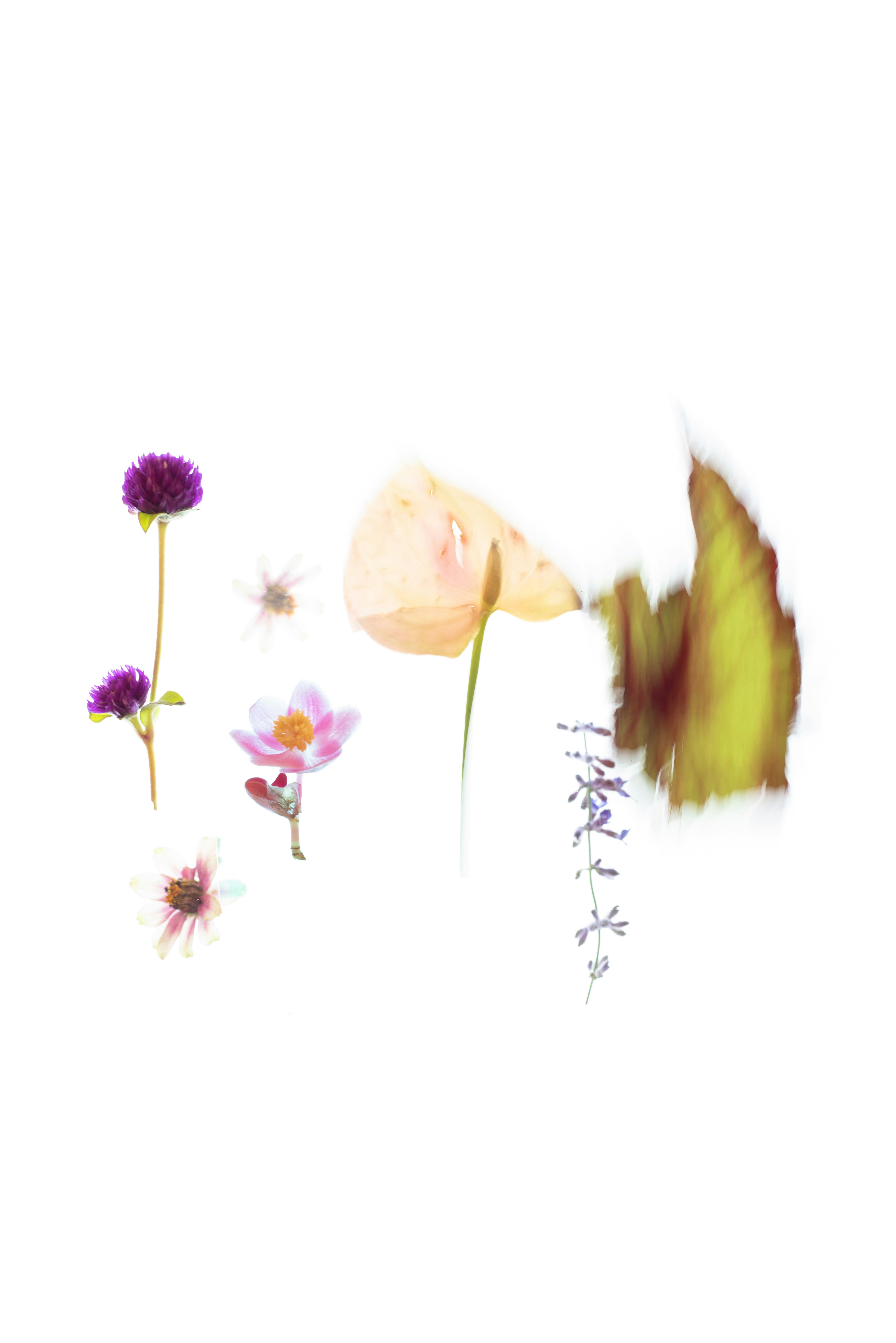 Photo by evieshaffer