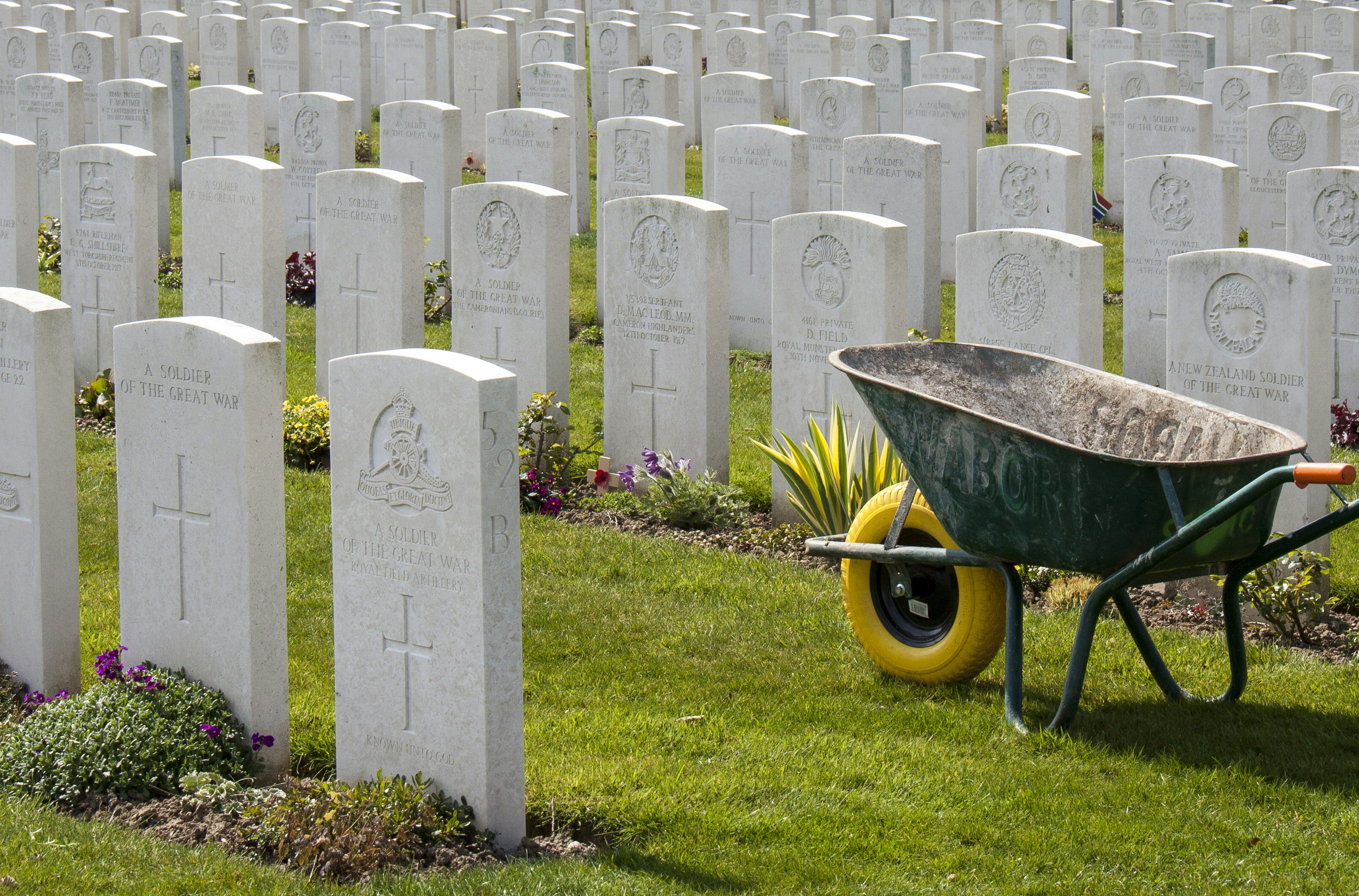 Rows of white headstones with a wheelbarrow