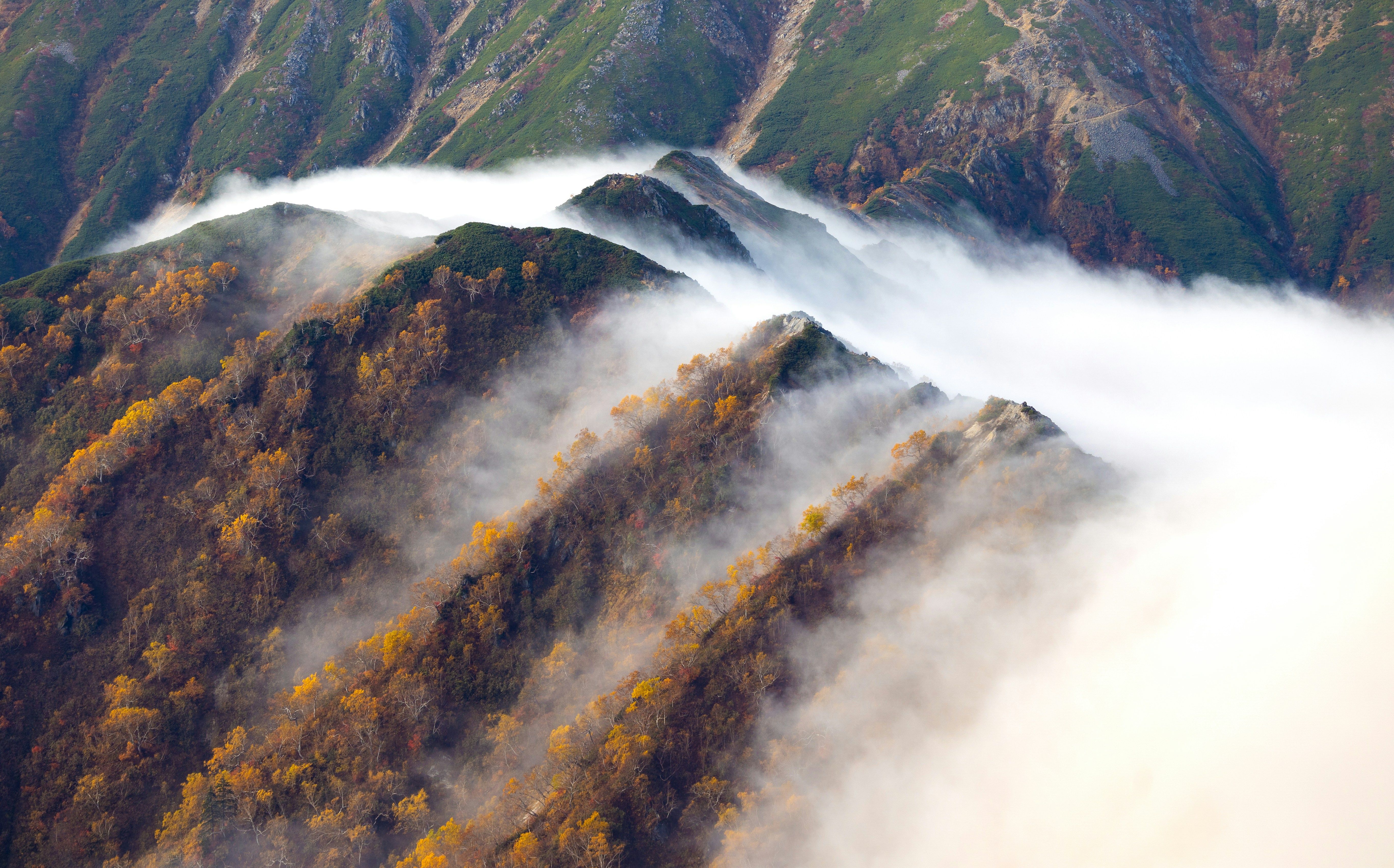 文内的图示需要科学上网才能流畅查看，图床直接用了 GitHub