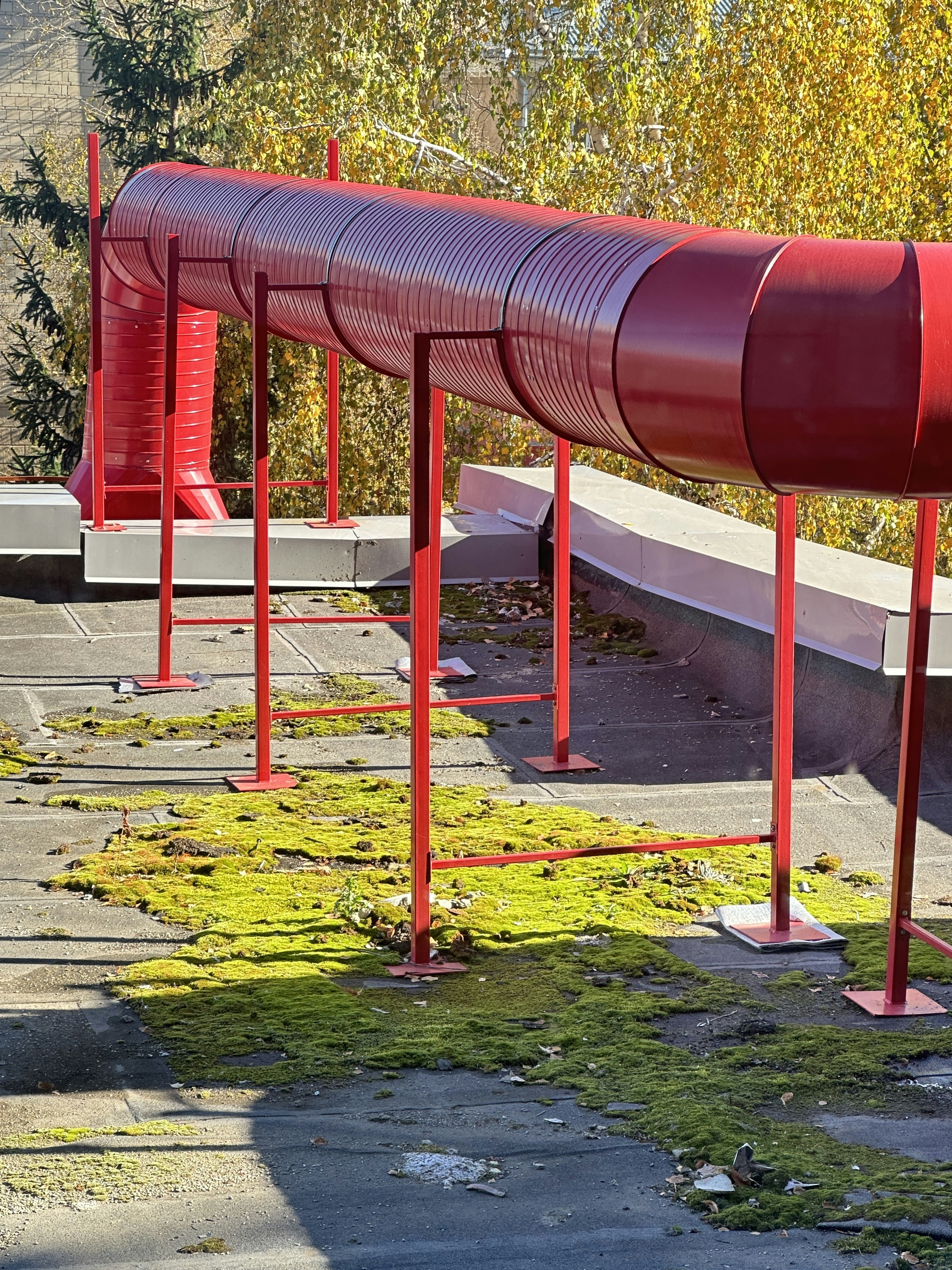 Rote Rohre auf einem moosbewachsenen Dach