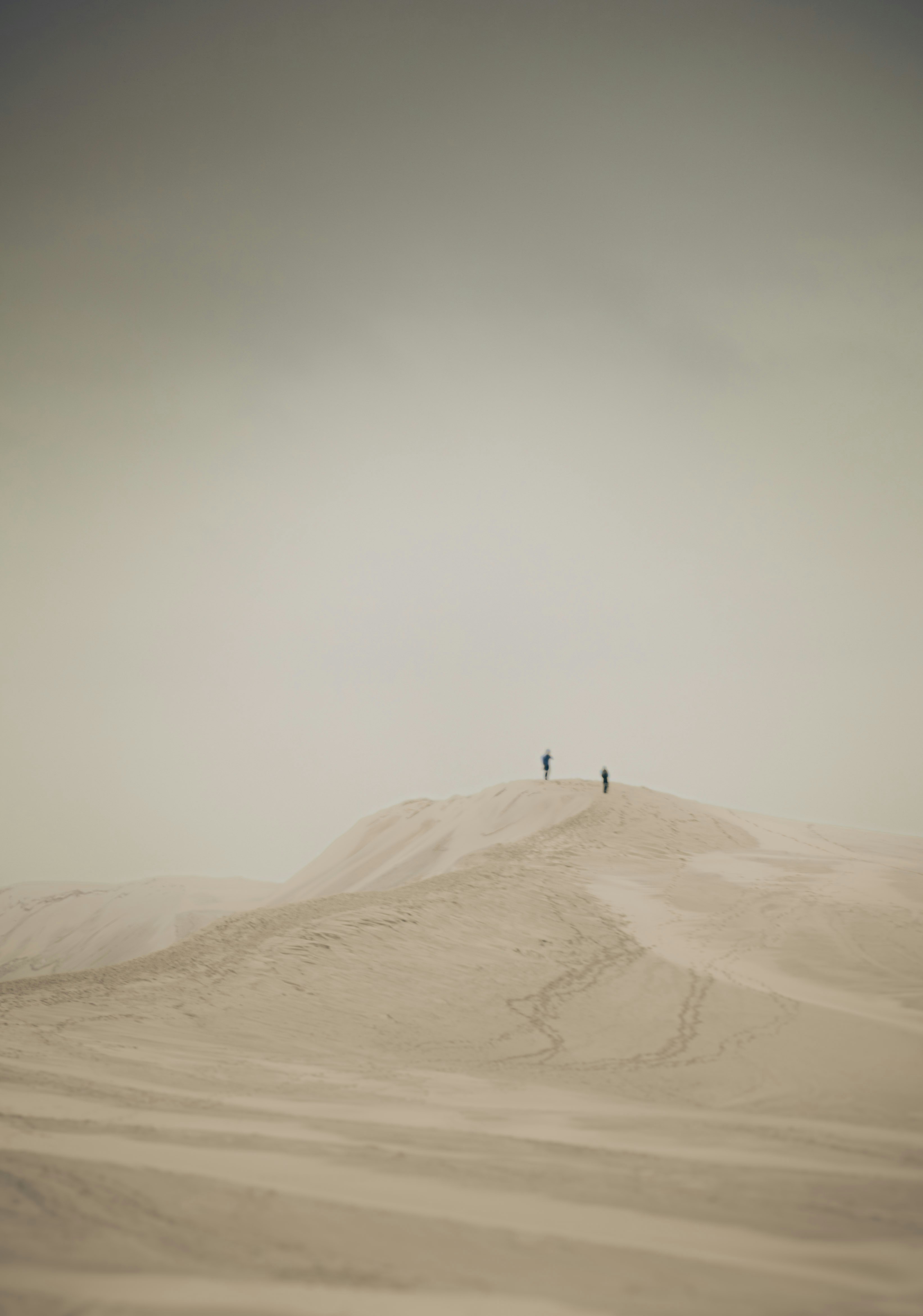 Photo by fromsarahtophotography