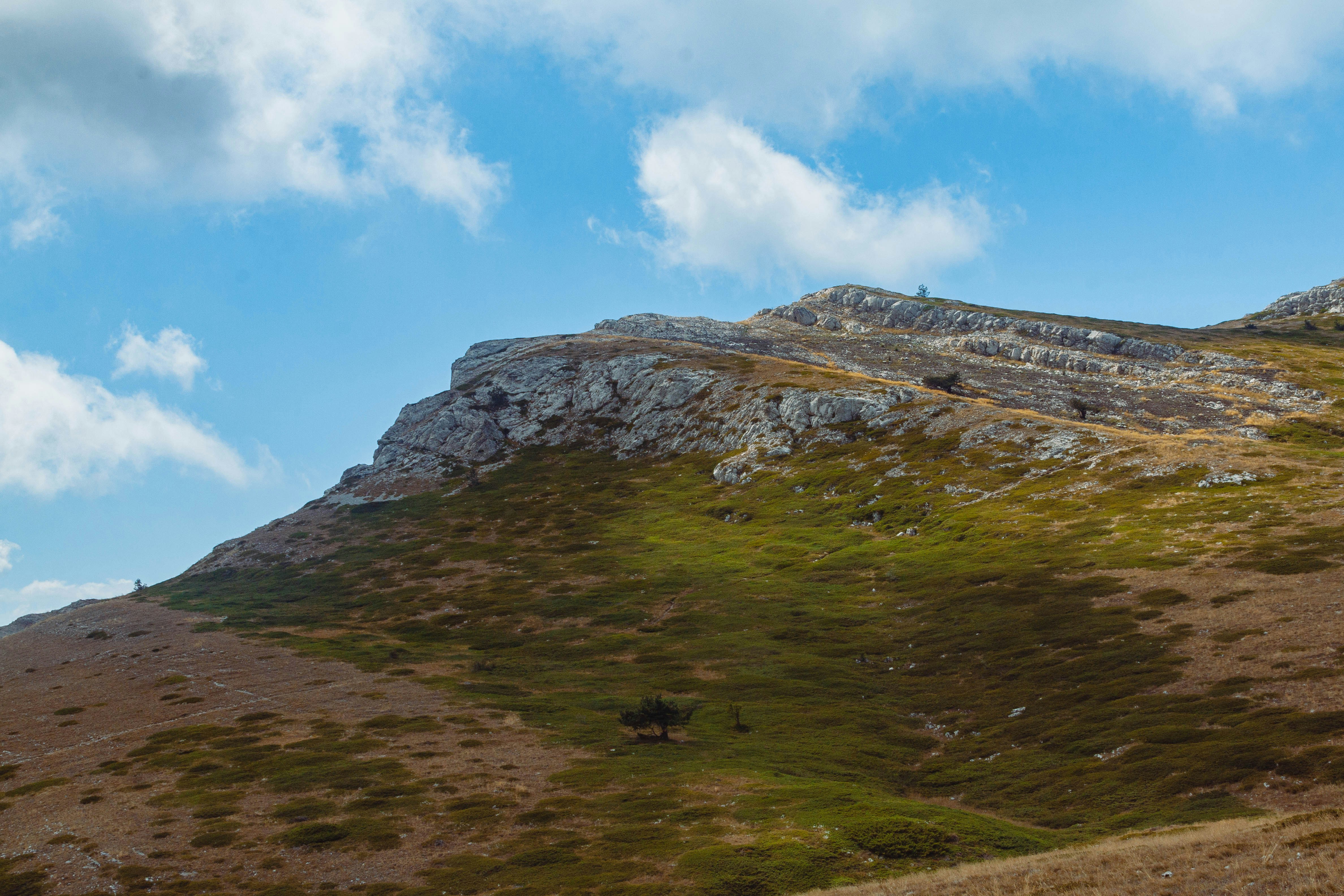 Rocky mountain slope with green and brown grass.