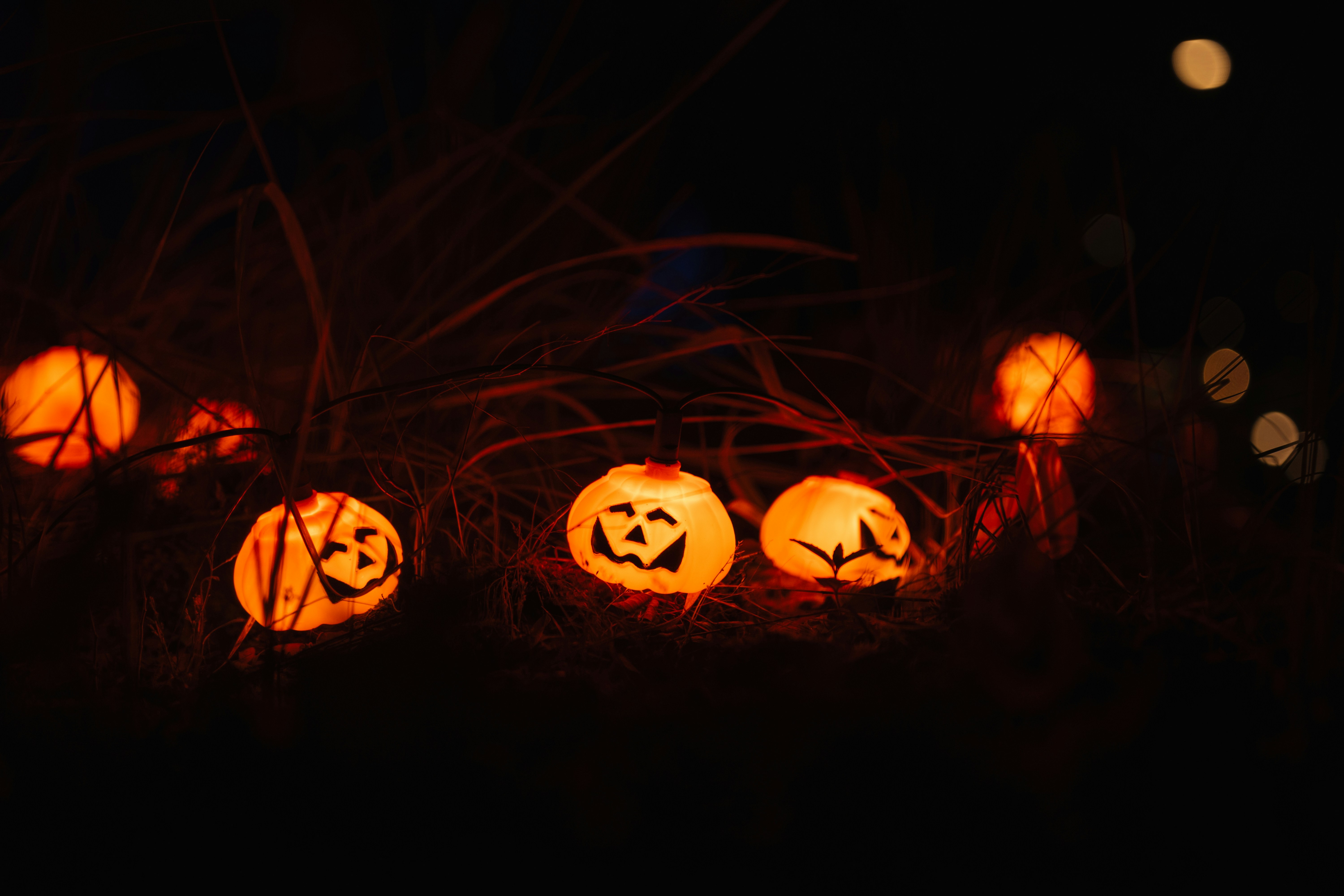 Photo by dermanuskript