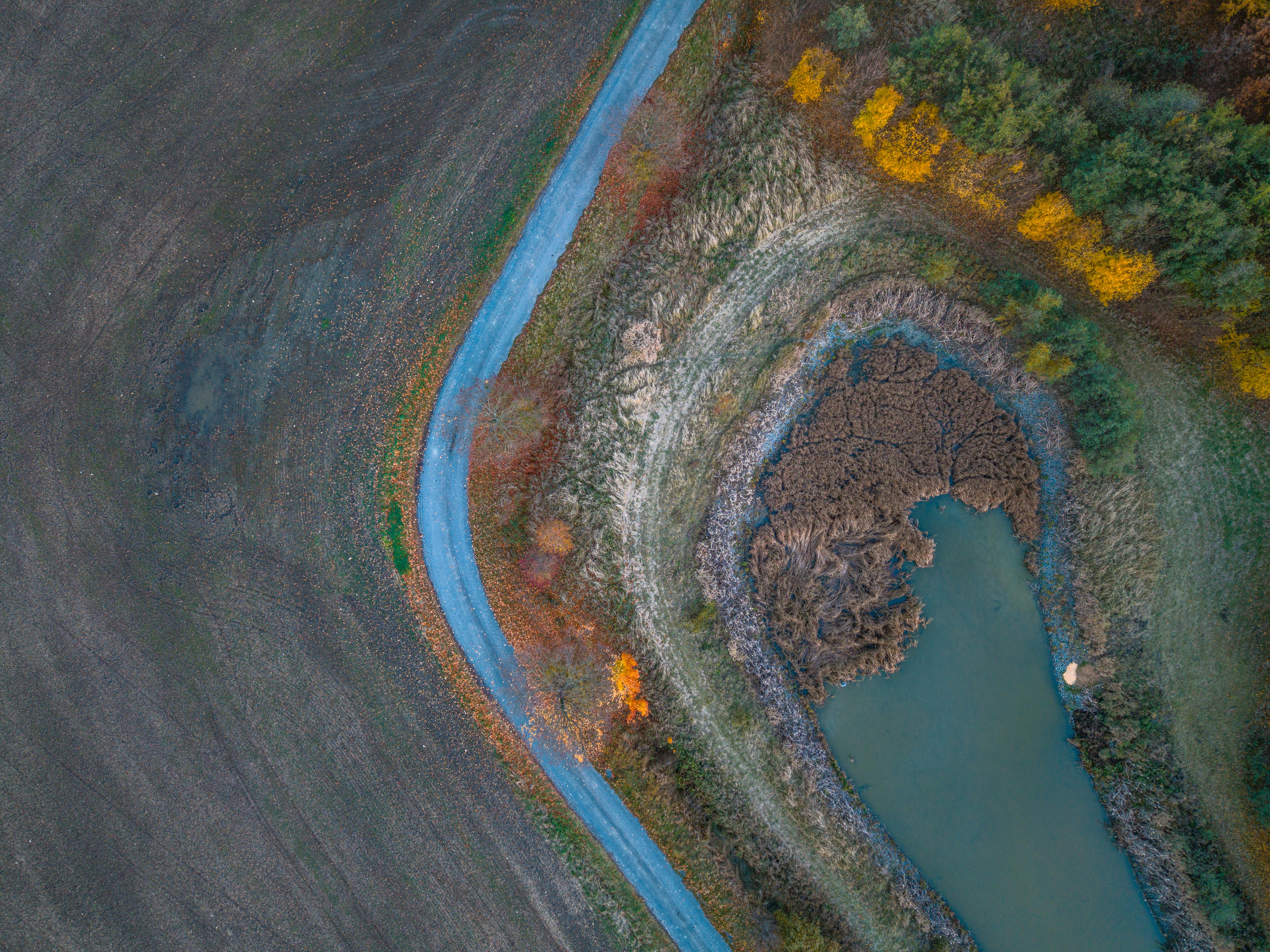 Photo by vitlustinec