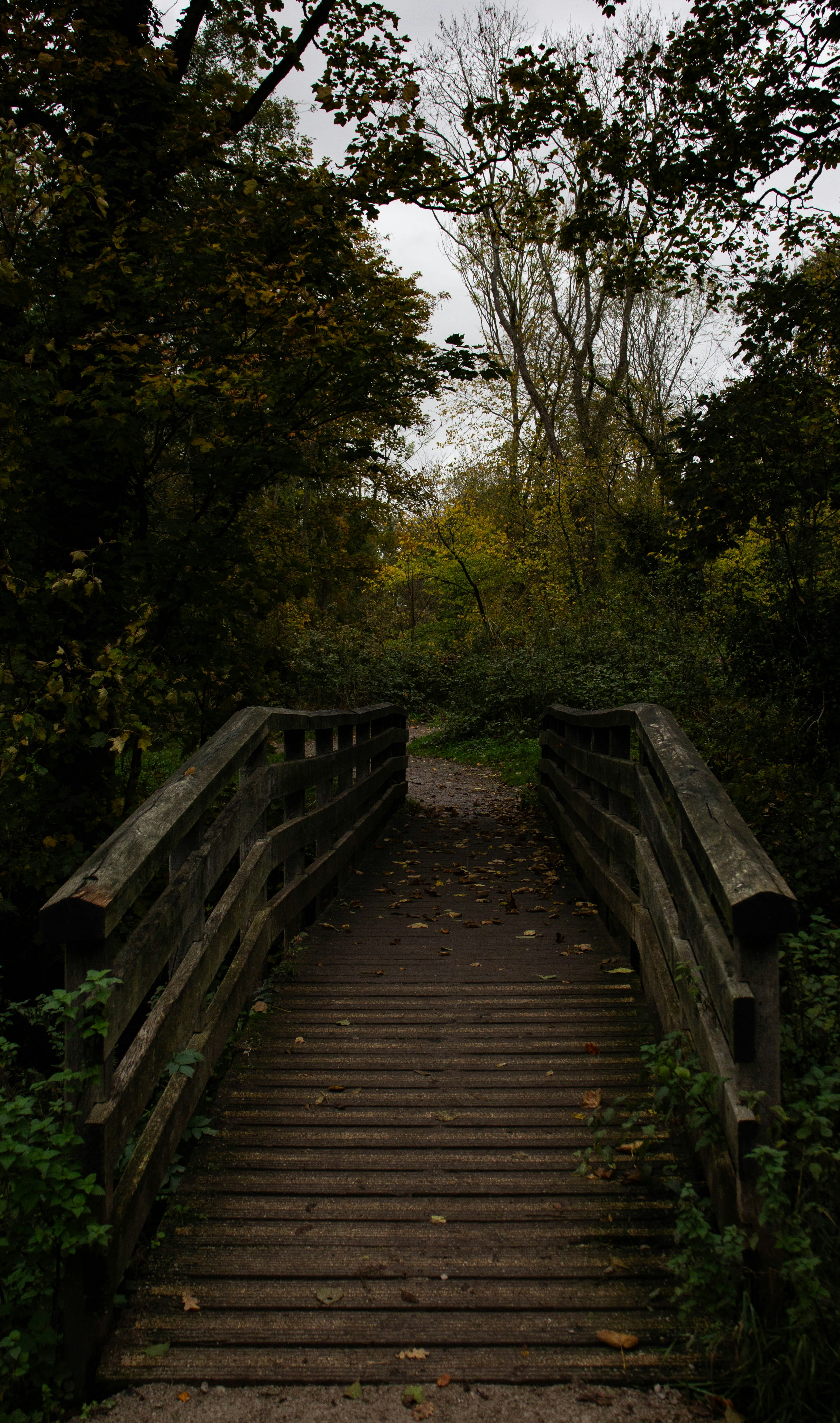 Photo by bloominghyacinth