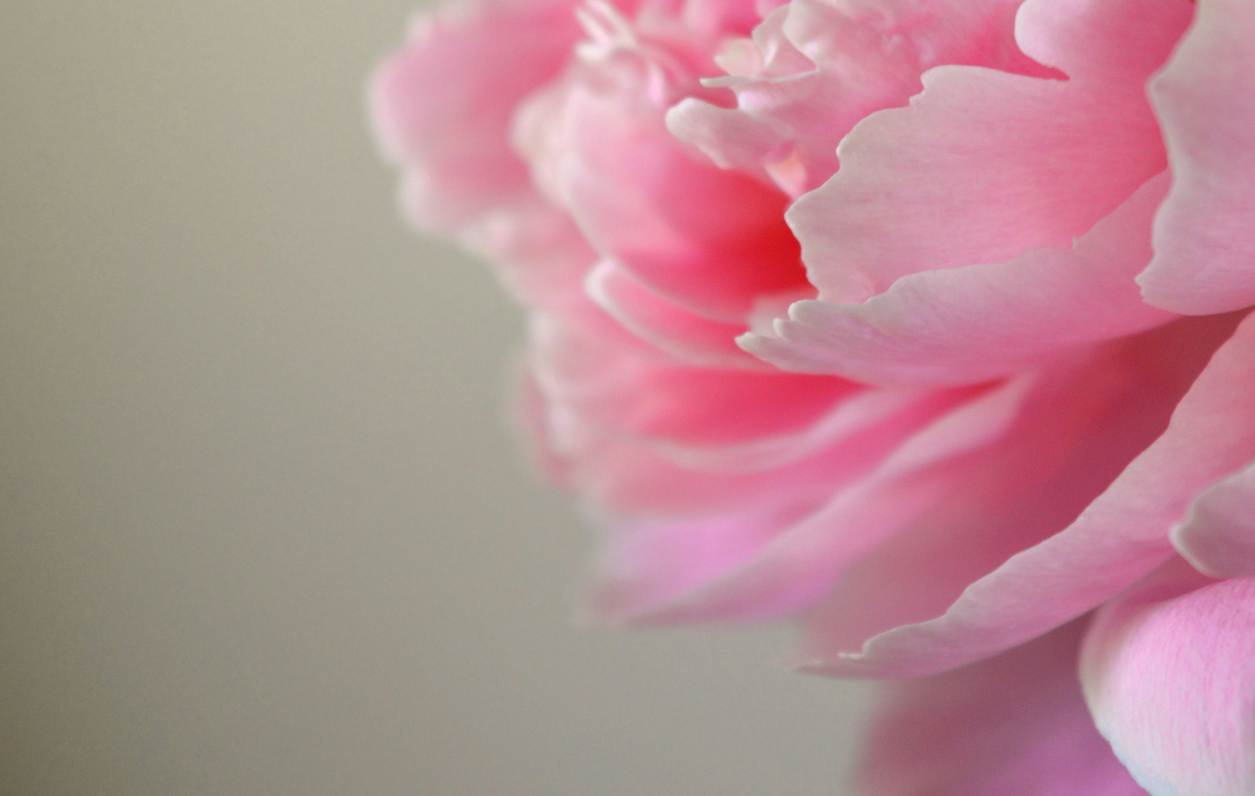 Photo by marianikolova