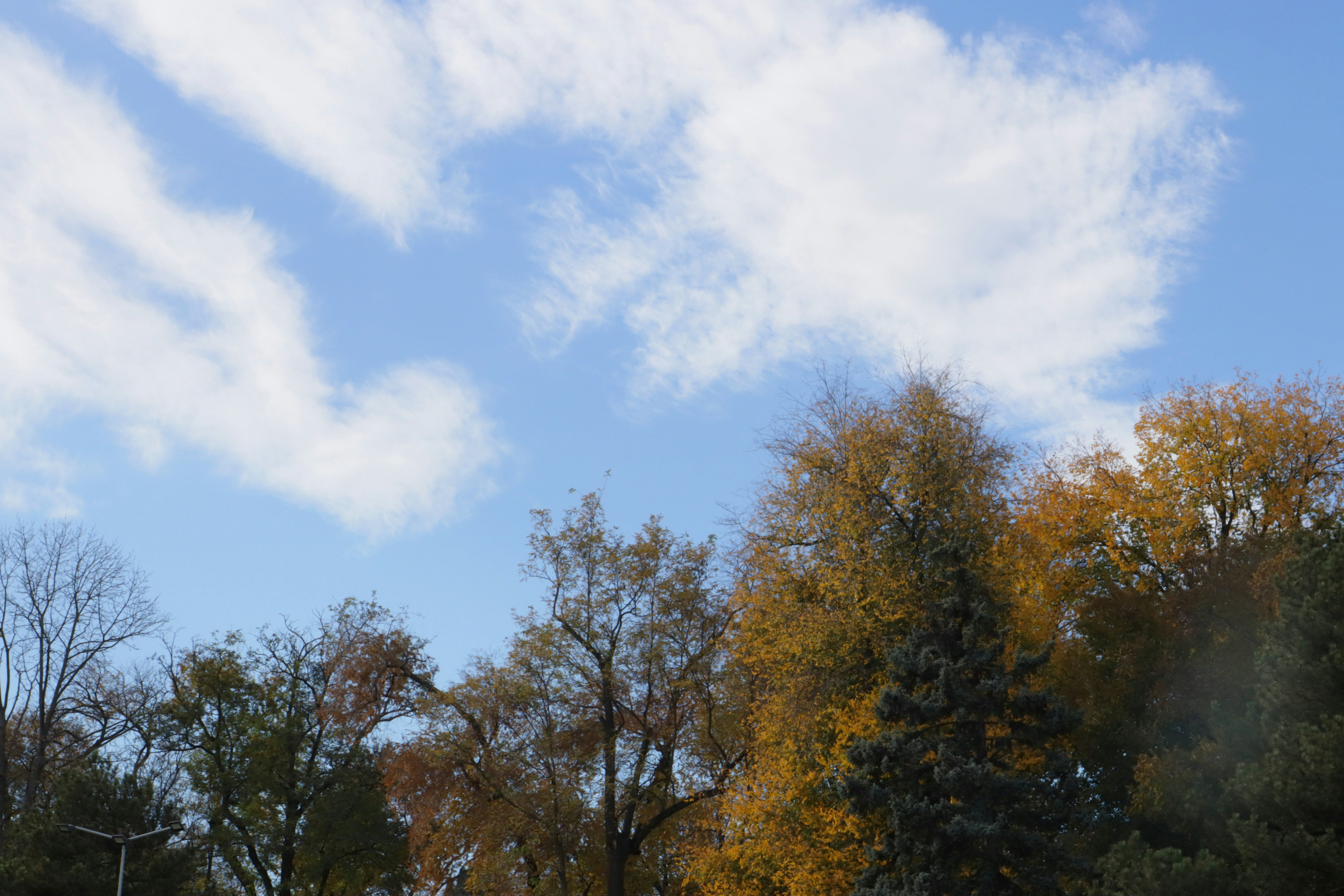 Photo by bored_mongoose