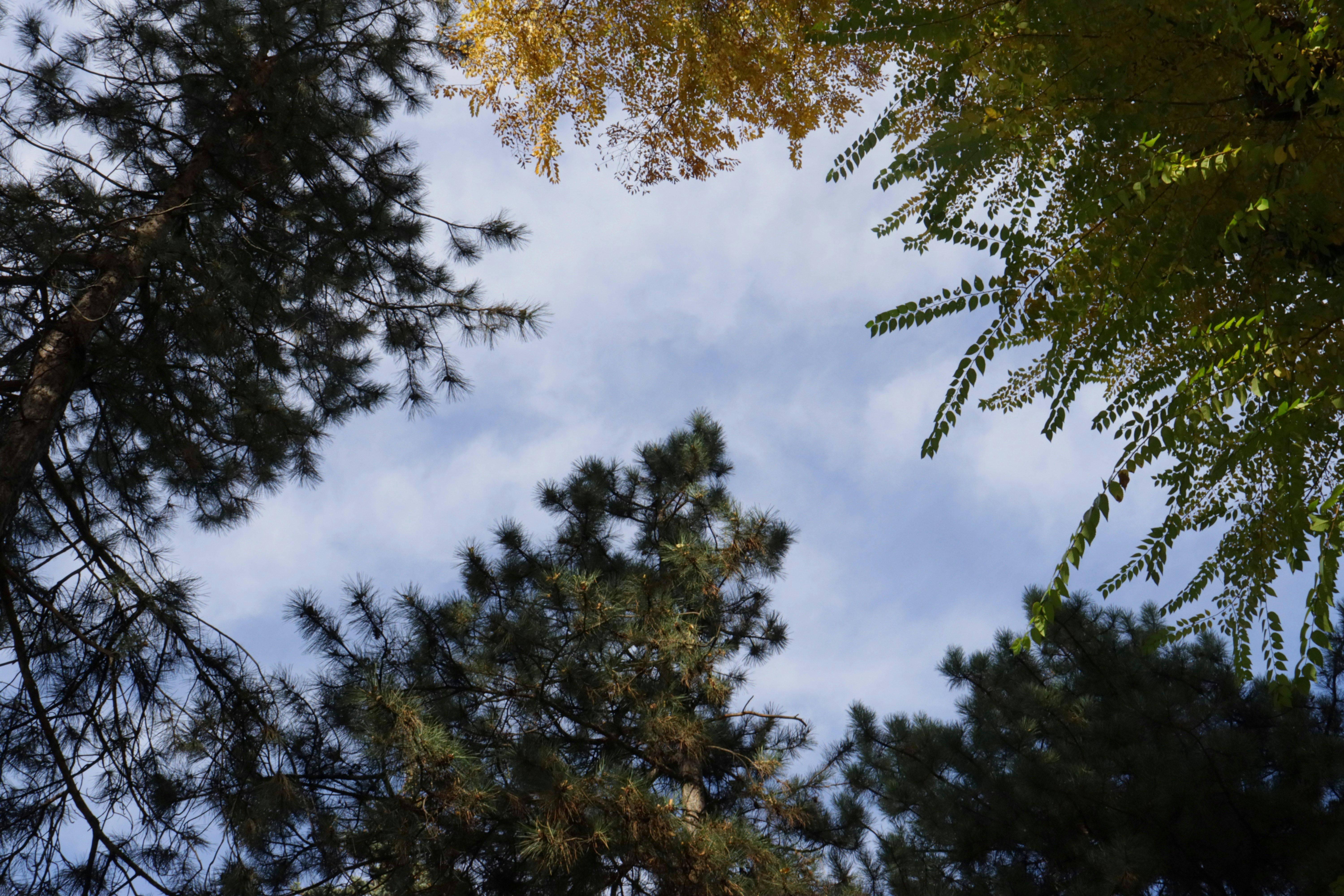 Photo by bored_mongoose