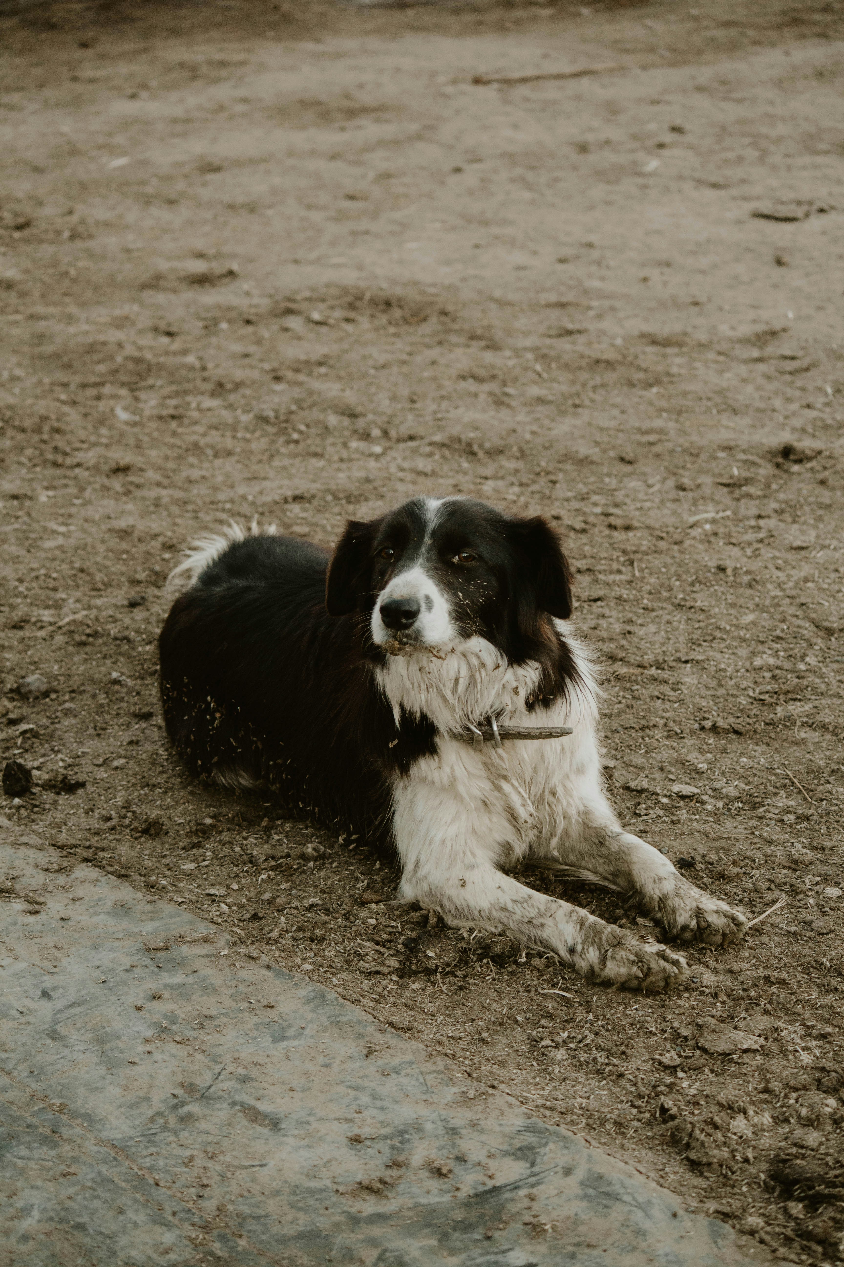 Easy-to-Clean Floors
