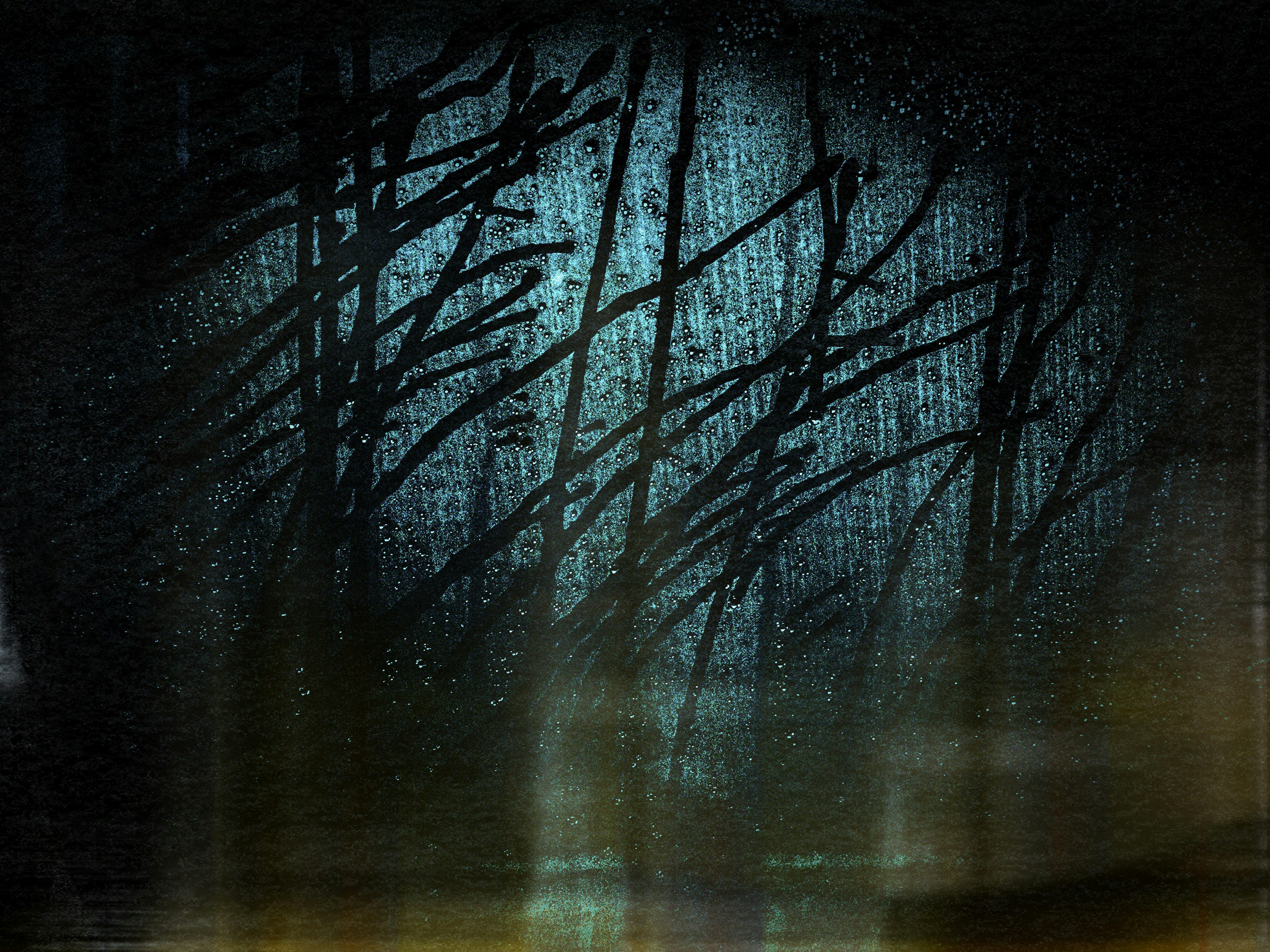 Silhouetted branches against a textured teal background