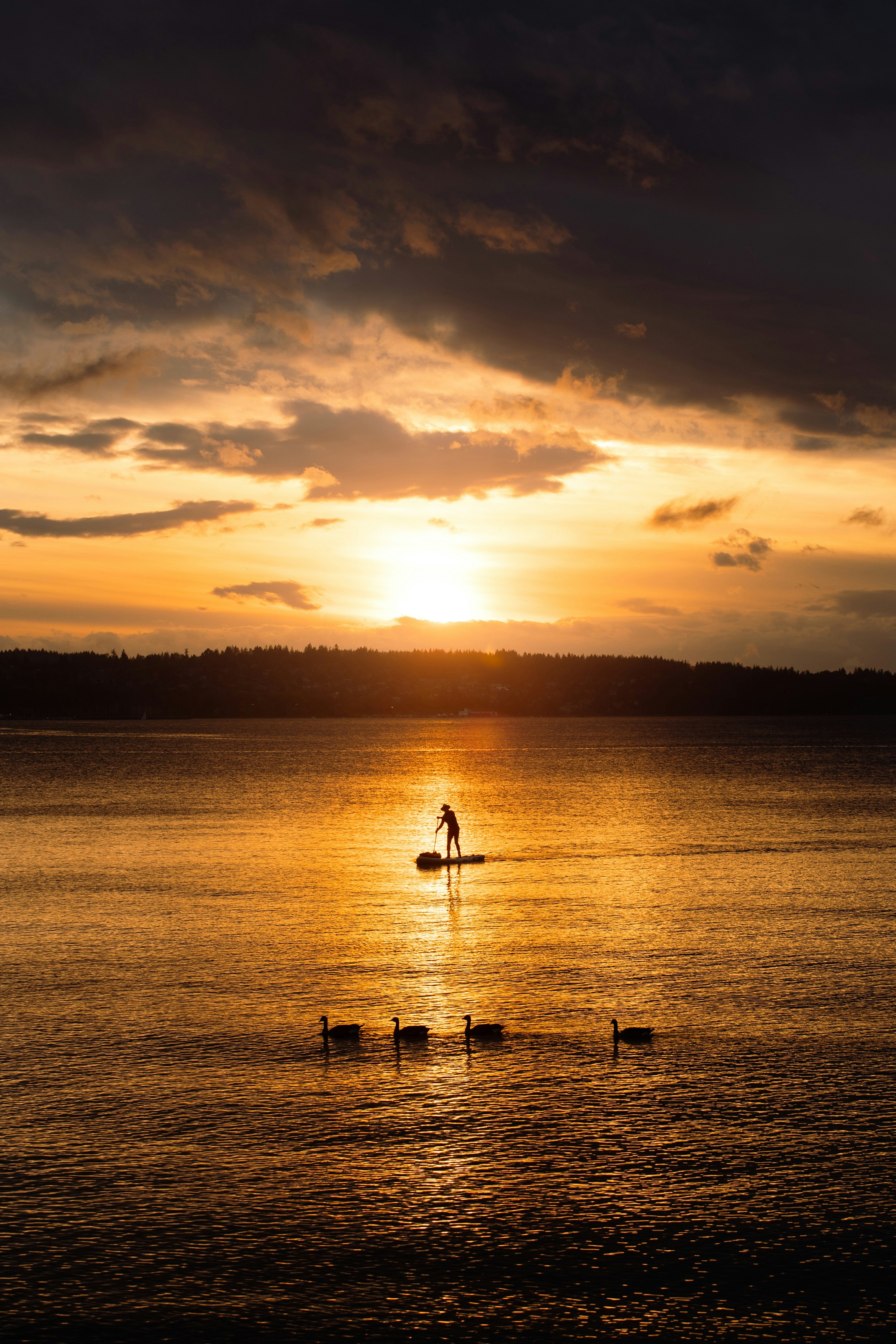 Team Background Distant