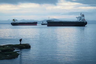 Person watches cargo ships on the water.