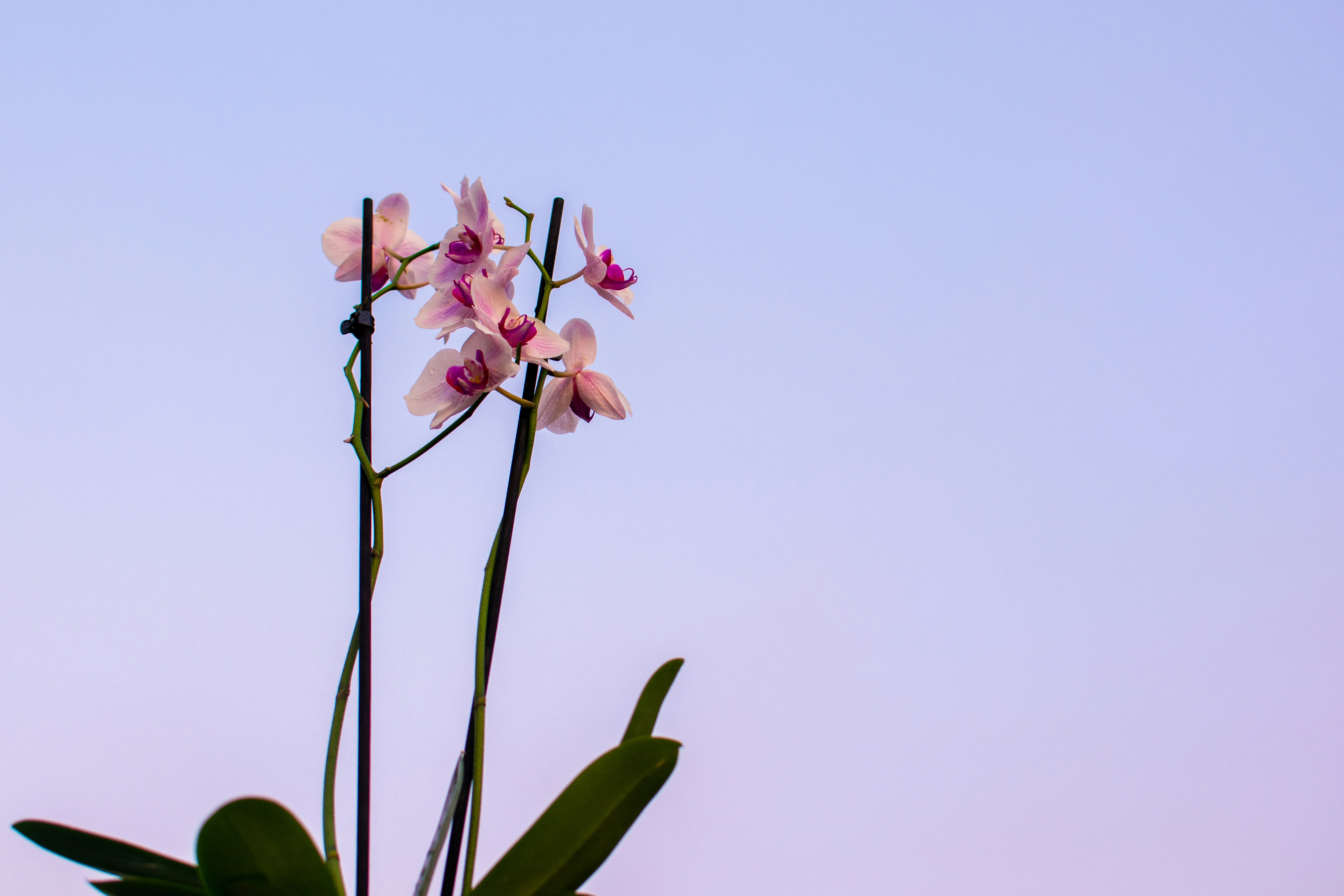 Photo by alexdavidphotos