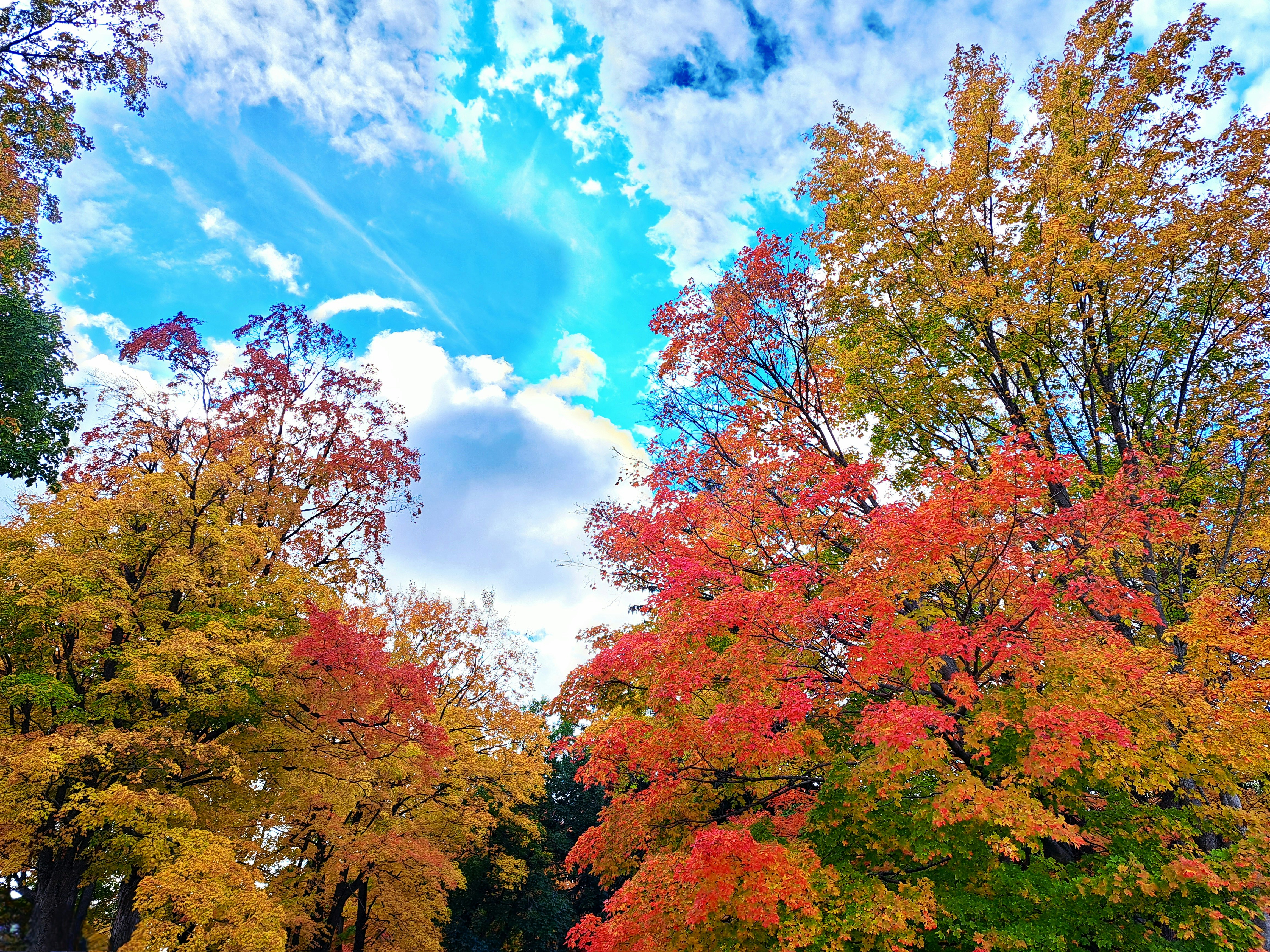 Photo by 41momentintime