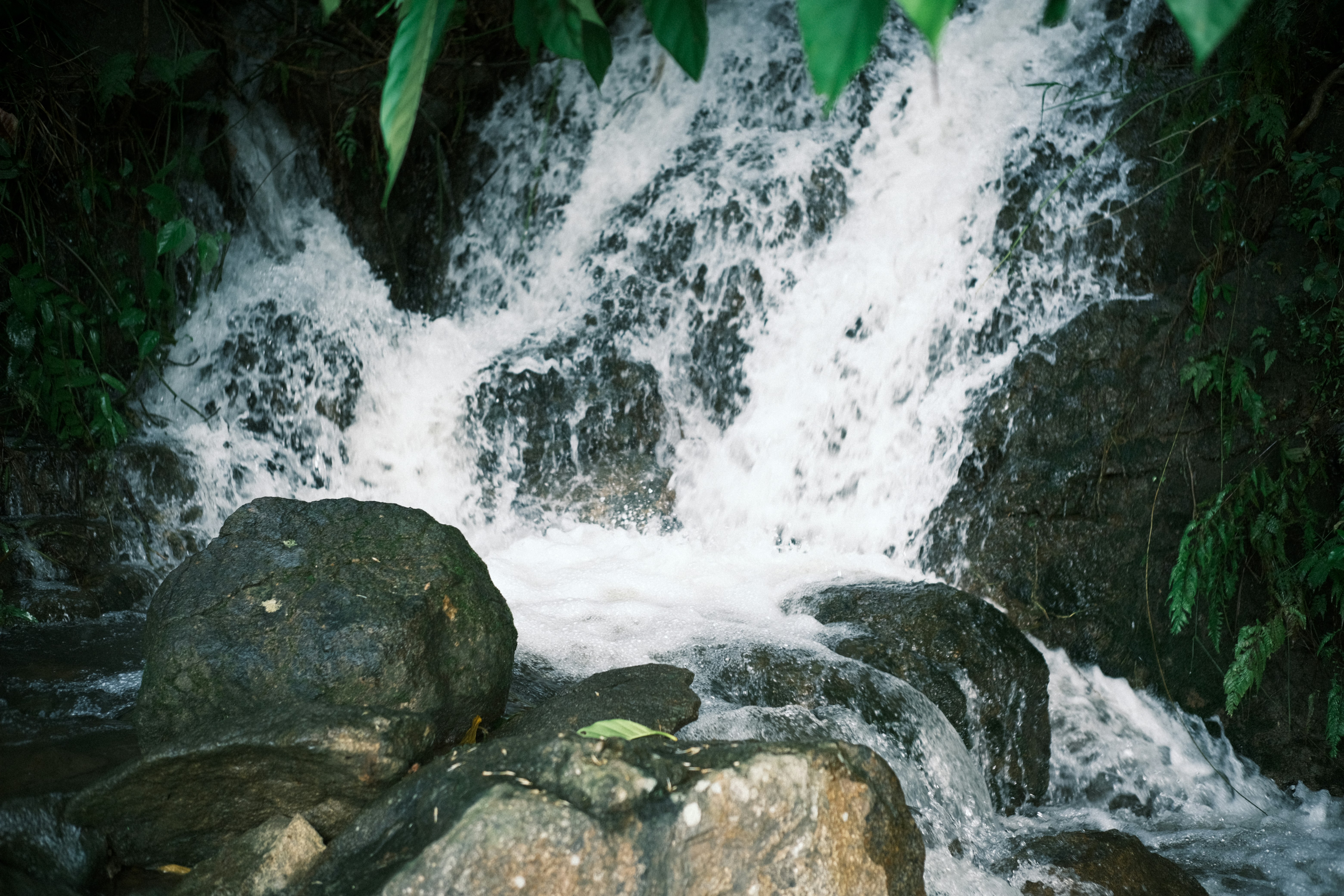 Photo by dvhoang2106