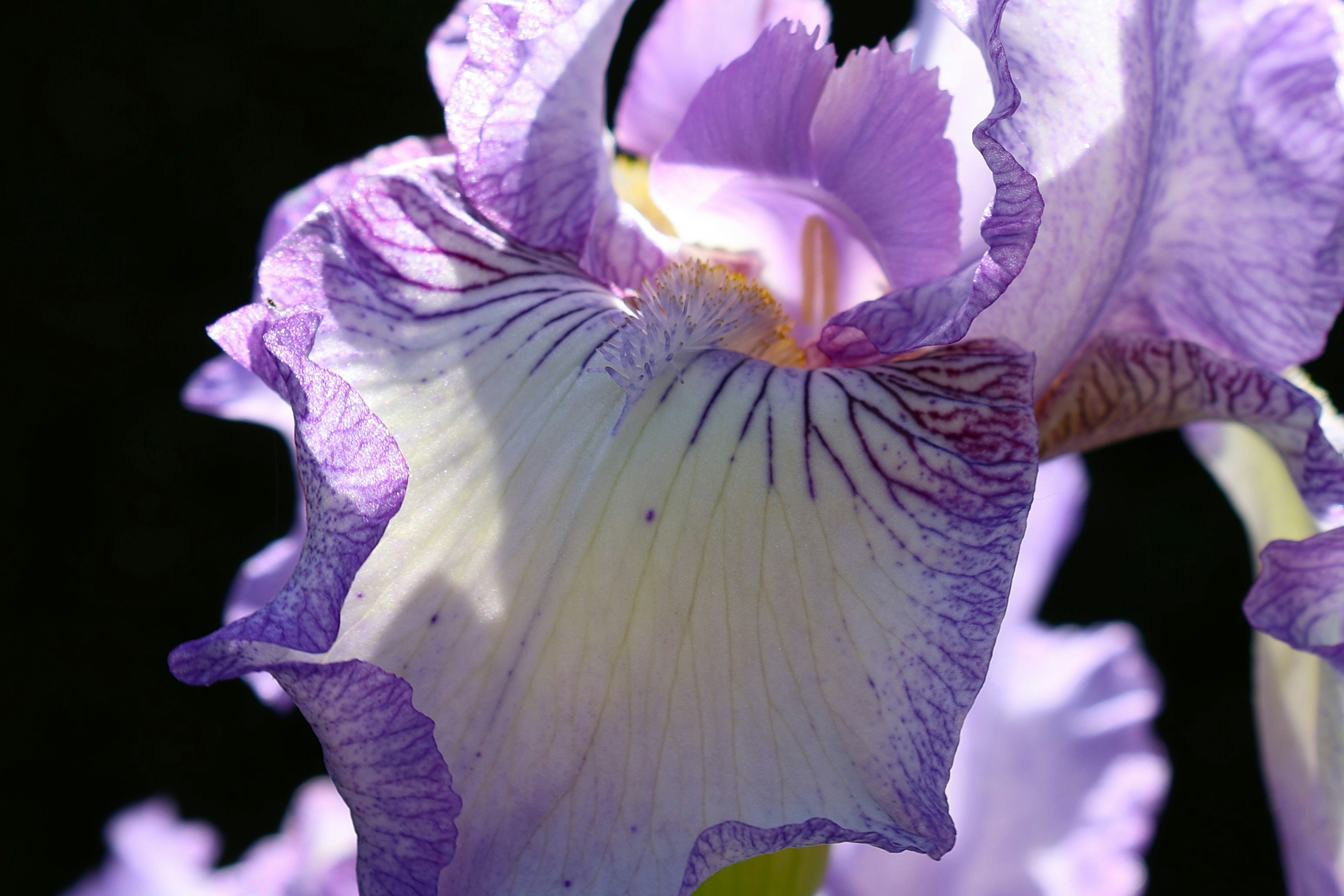 Photo by chrislinnett