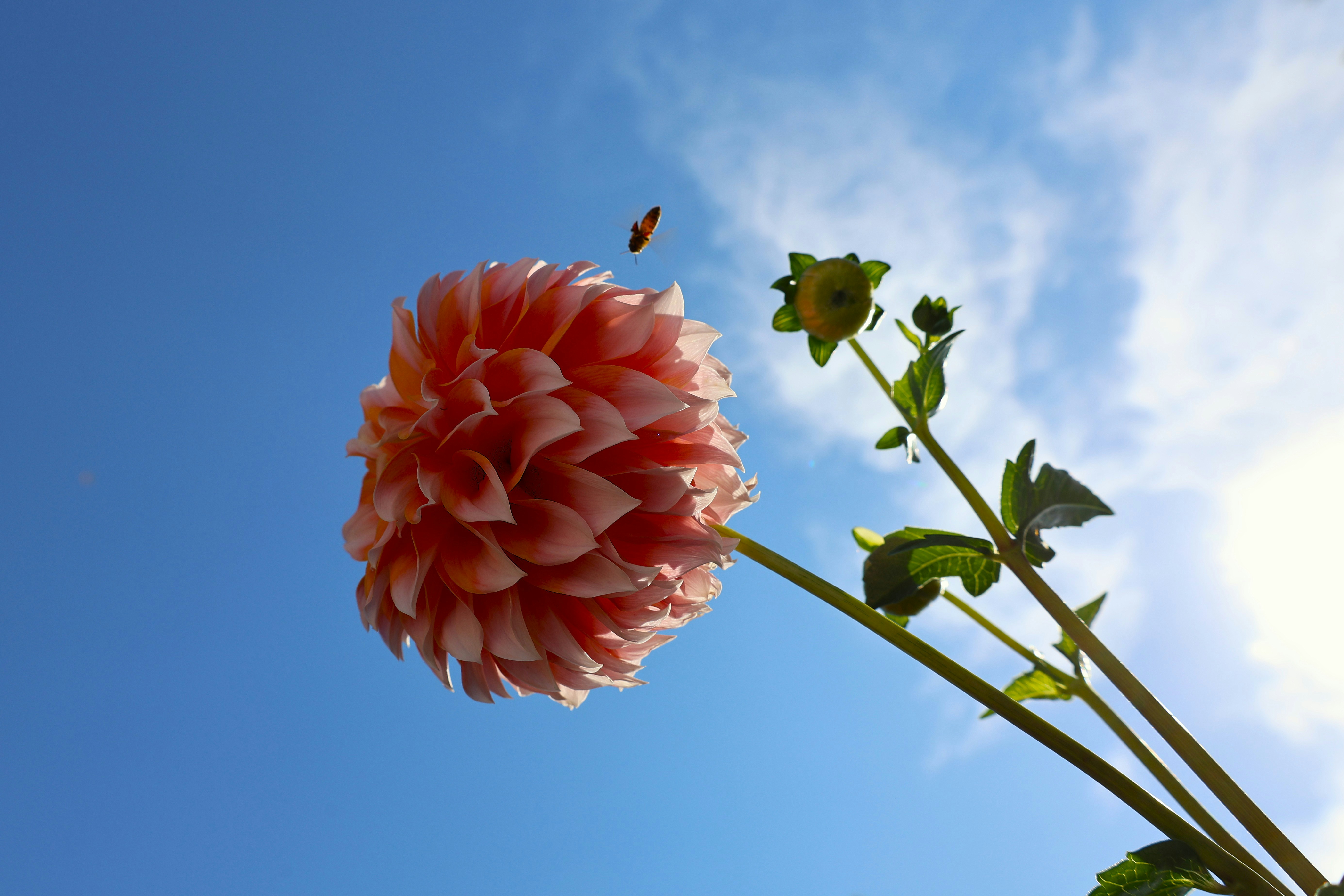 Photo by chrislinnett