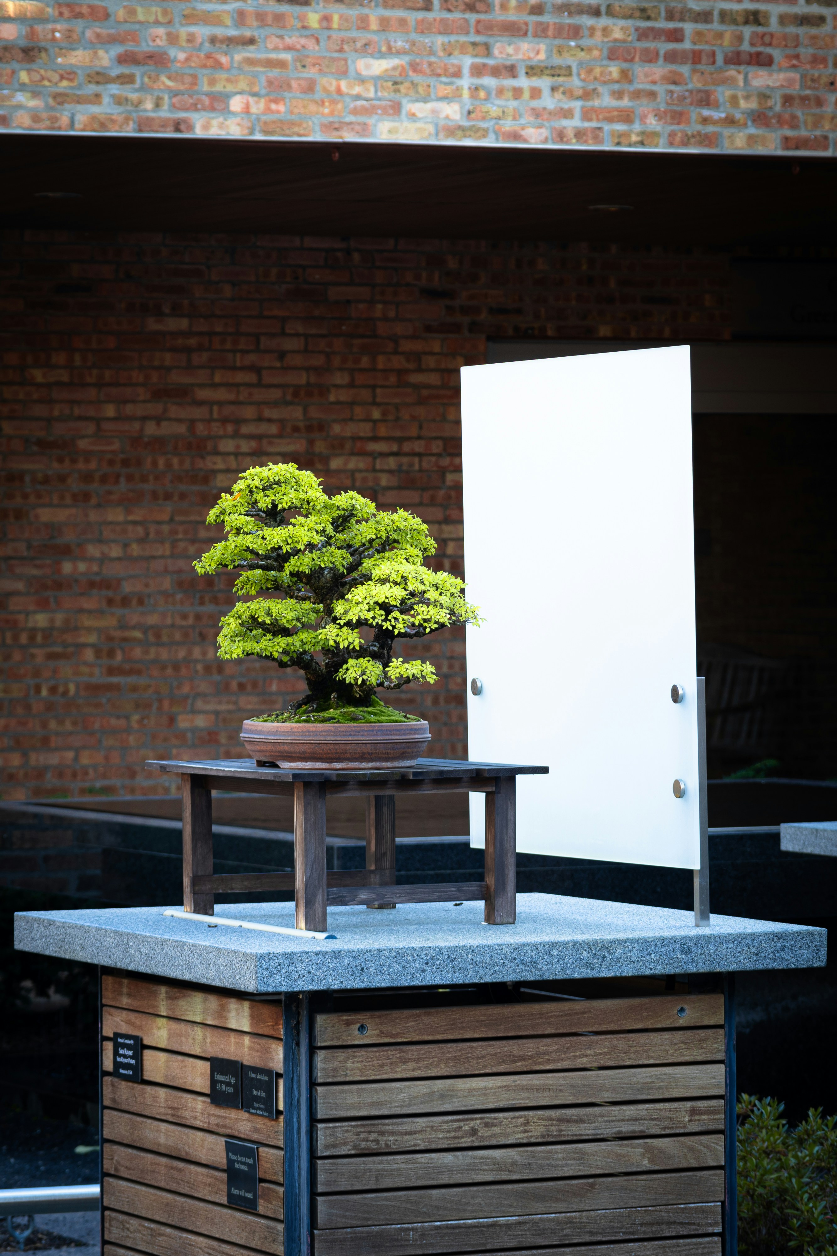 WhoDB is the Marie Kondo of Database Tools