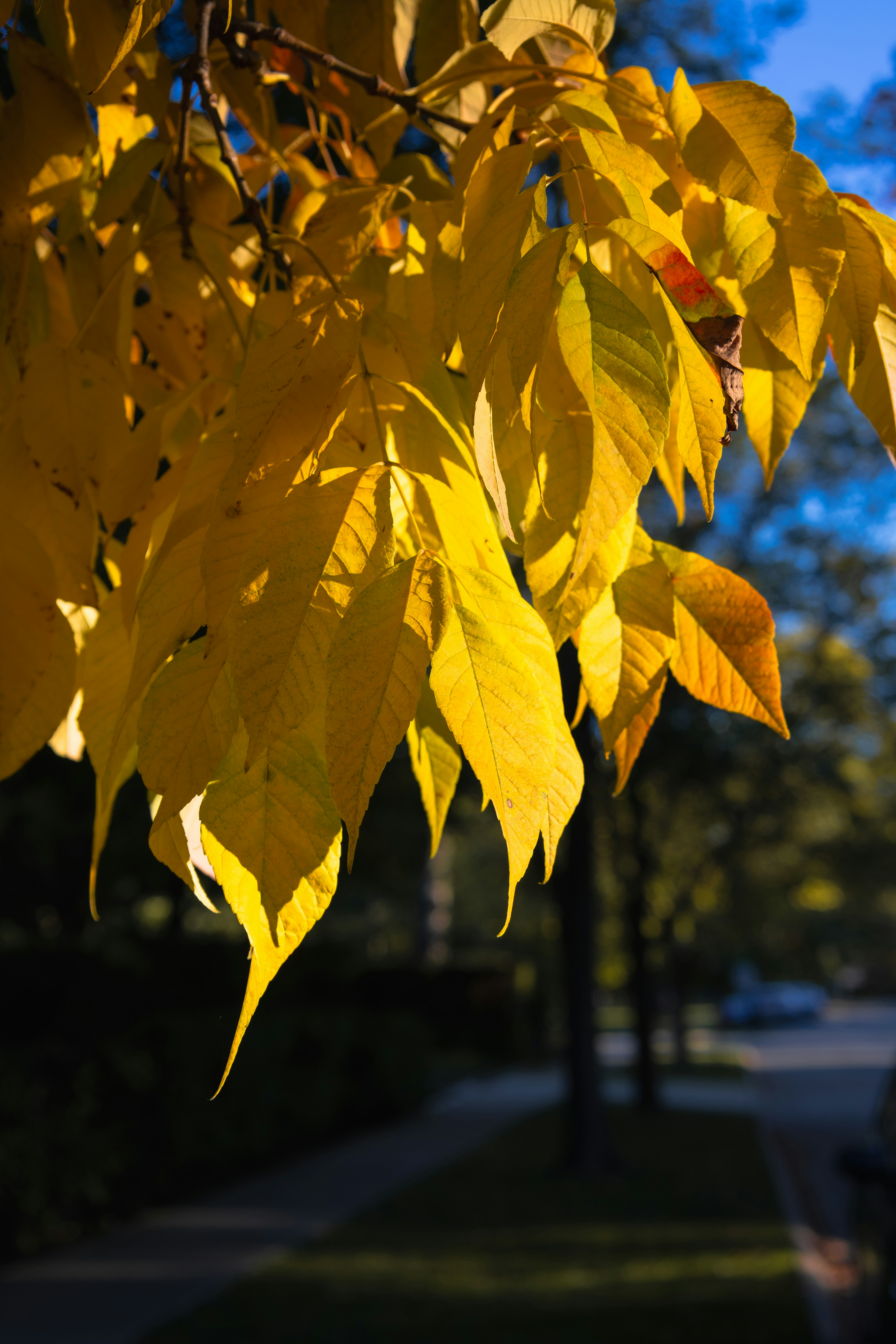 Photo by vincentyuan87