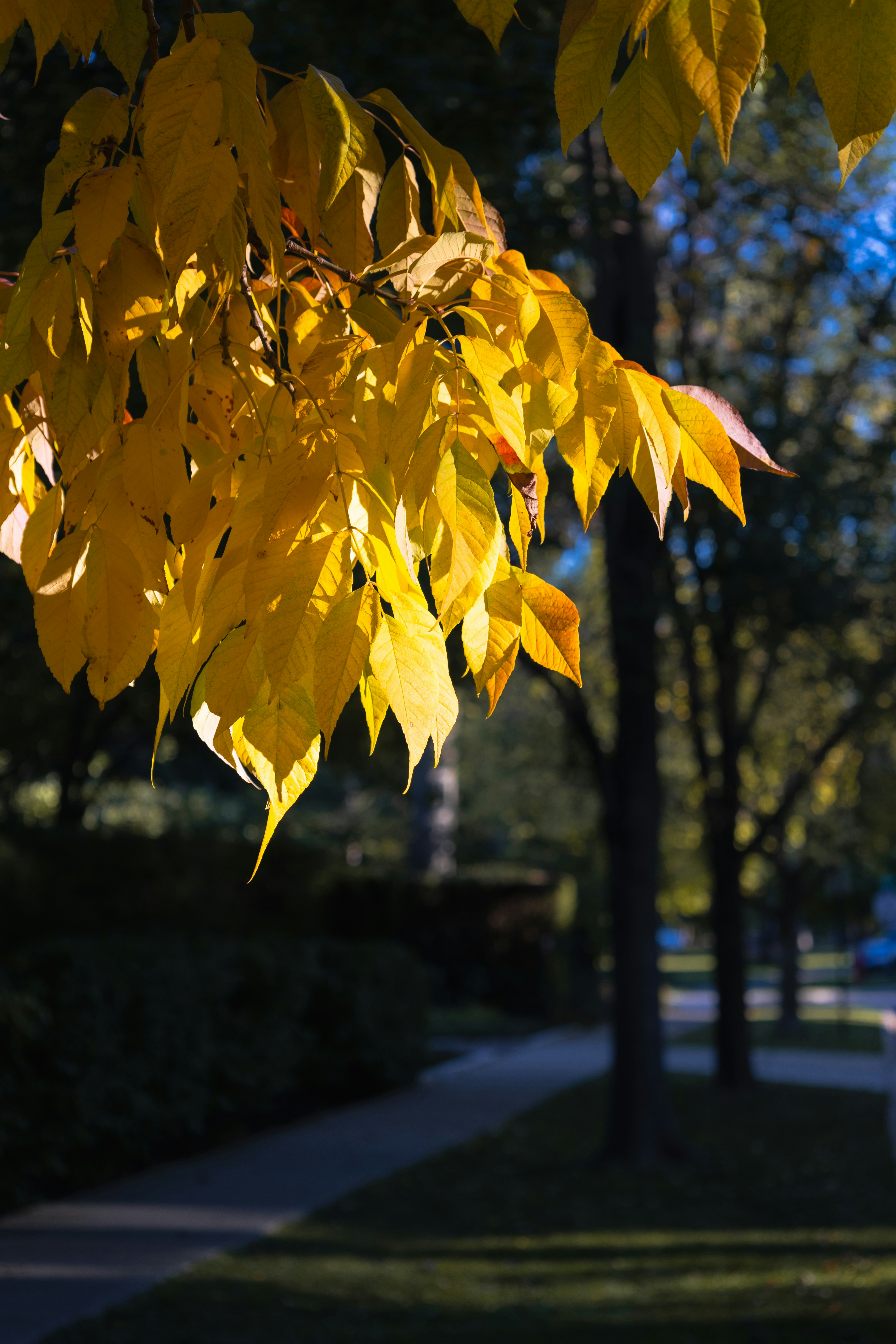 Photo by vincentyuan87