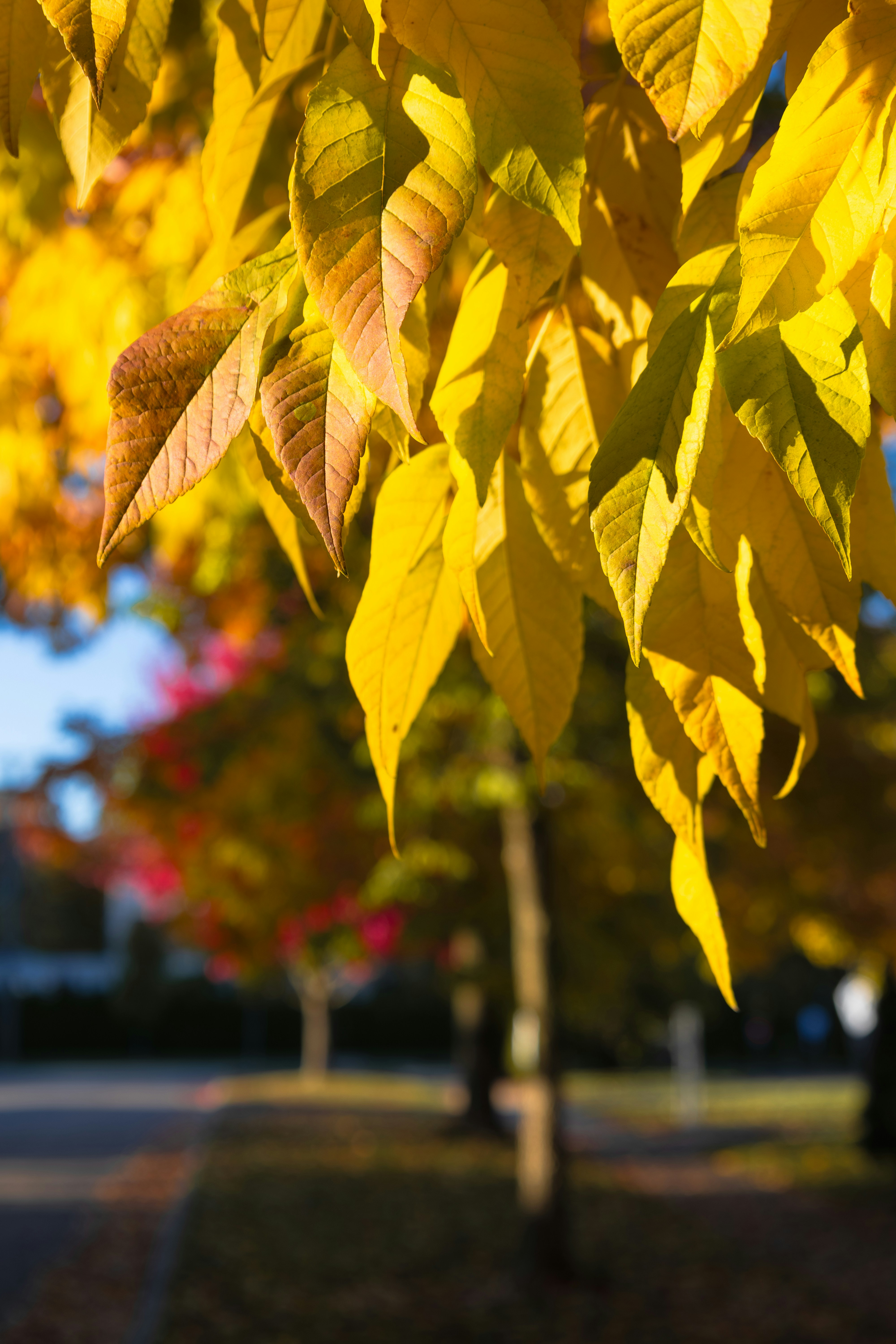 Photo by vincentyuan87