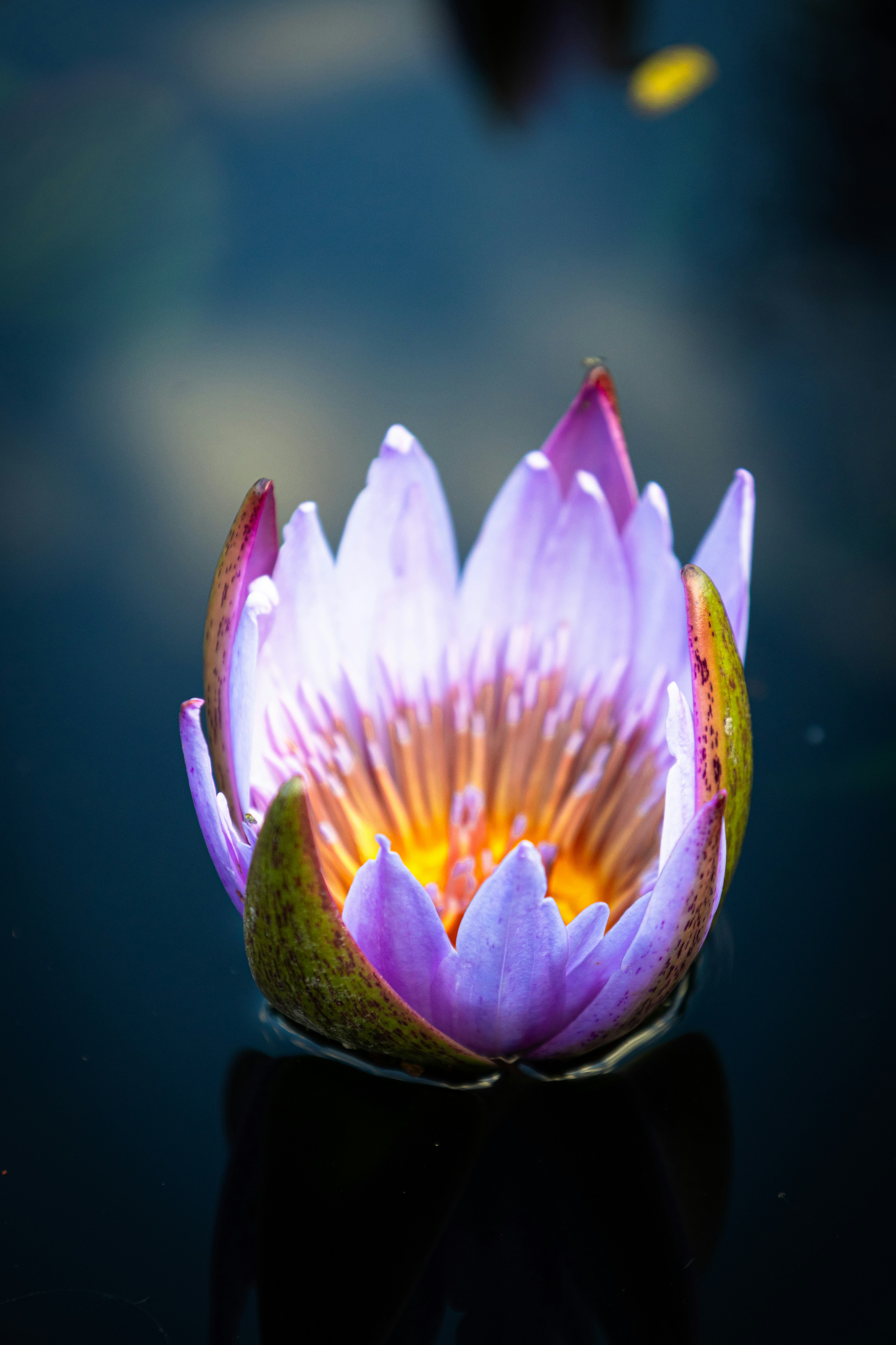 Photo by vincentyuan87