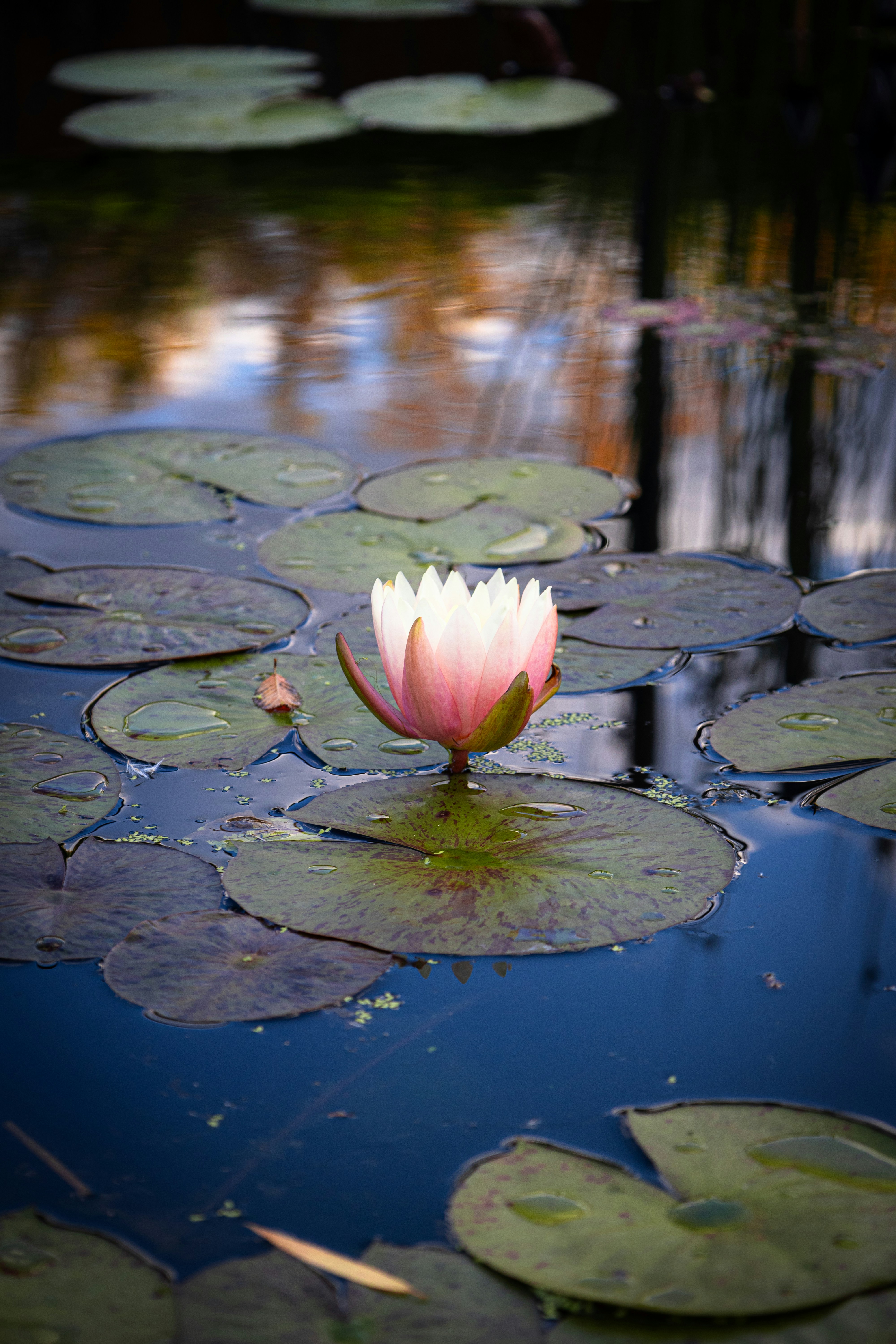 Photo by vincentyuan87