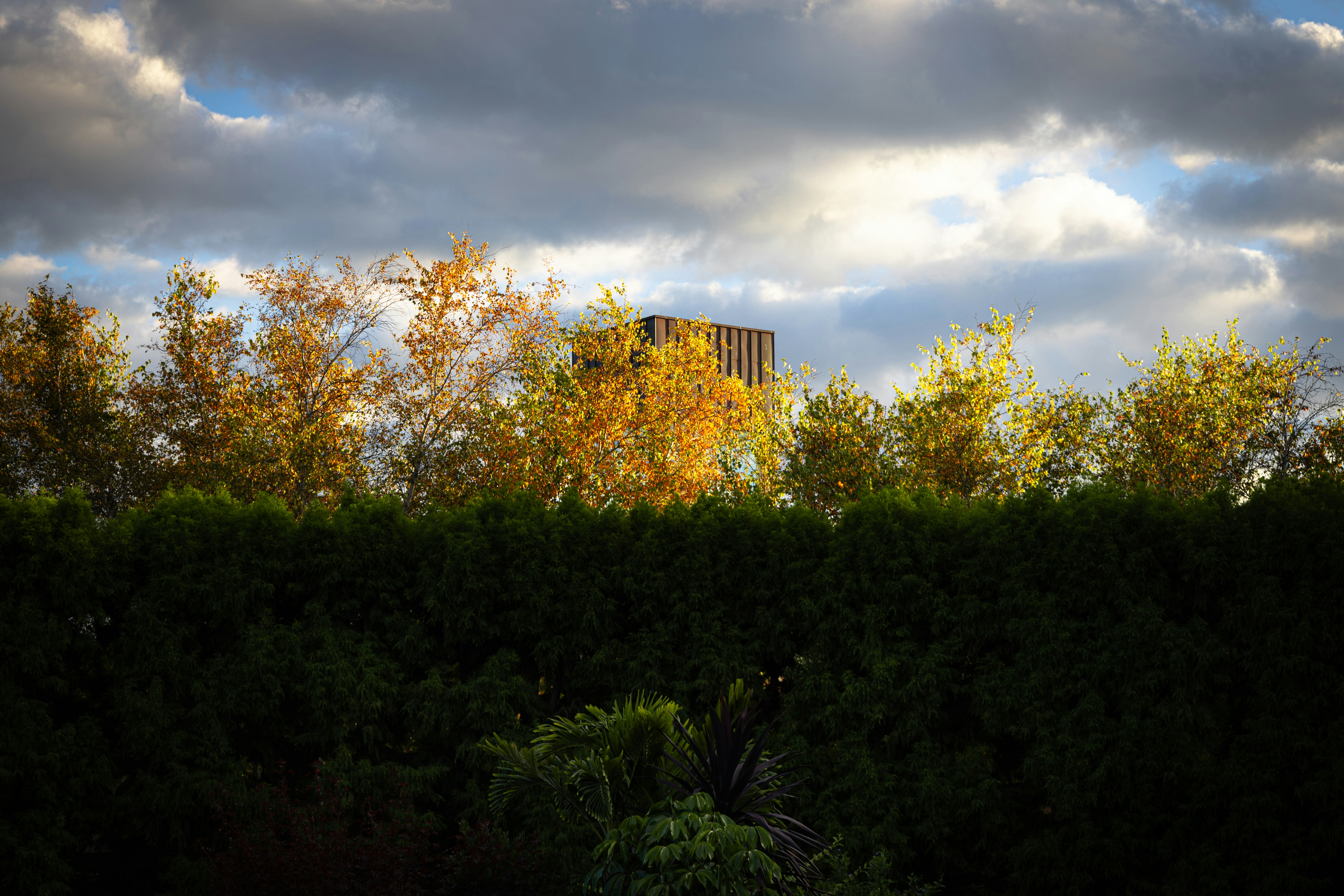 Photo by vincentyuan87