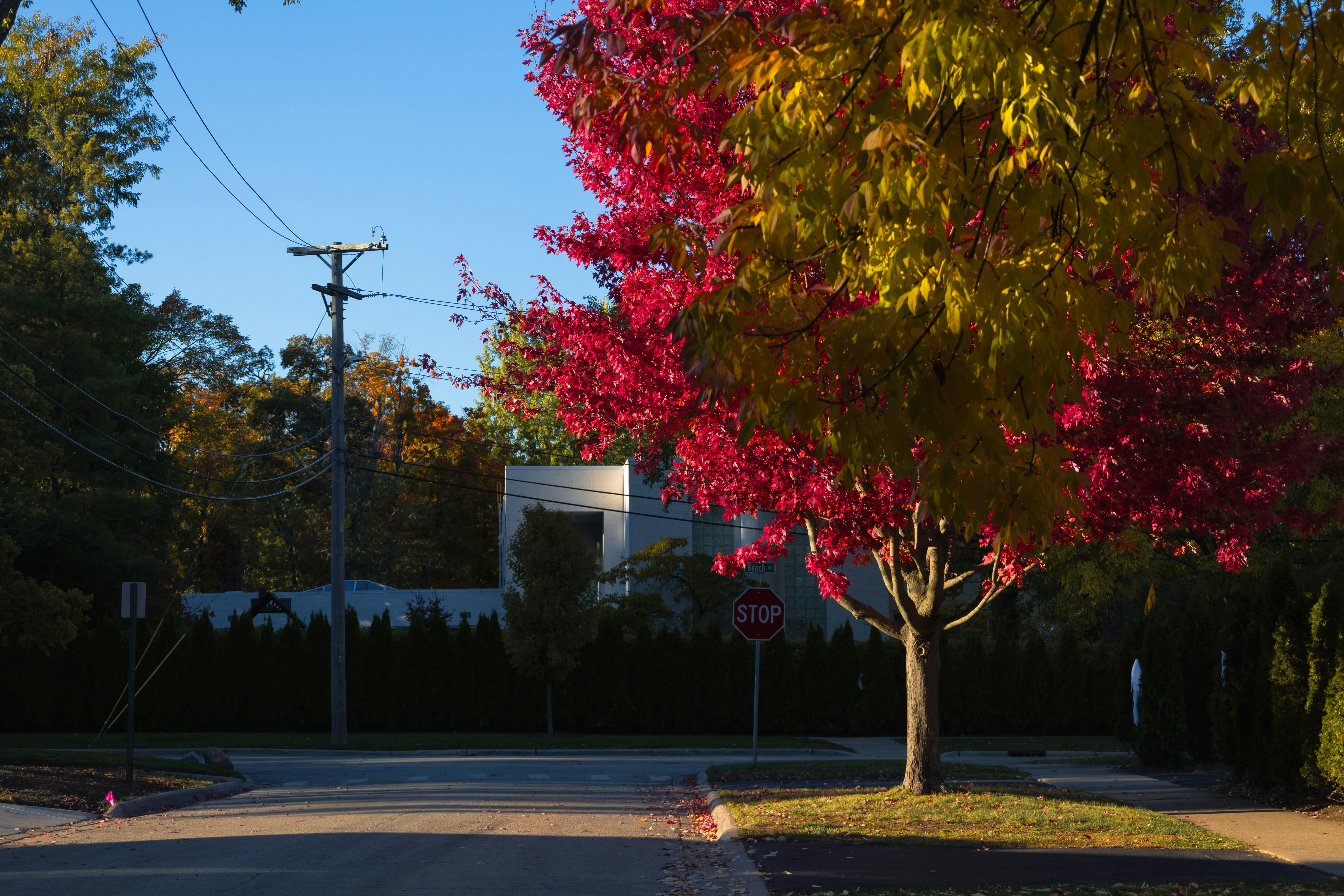 Photo by vincentyuan87