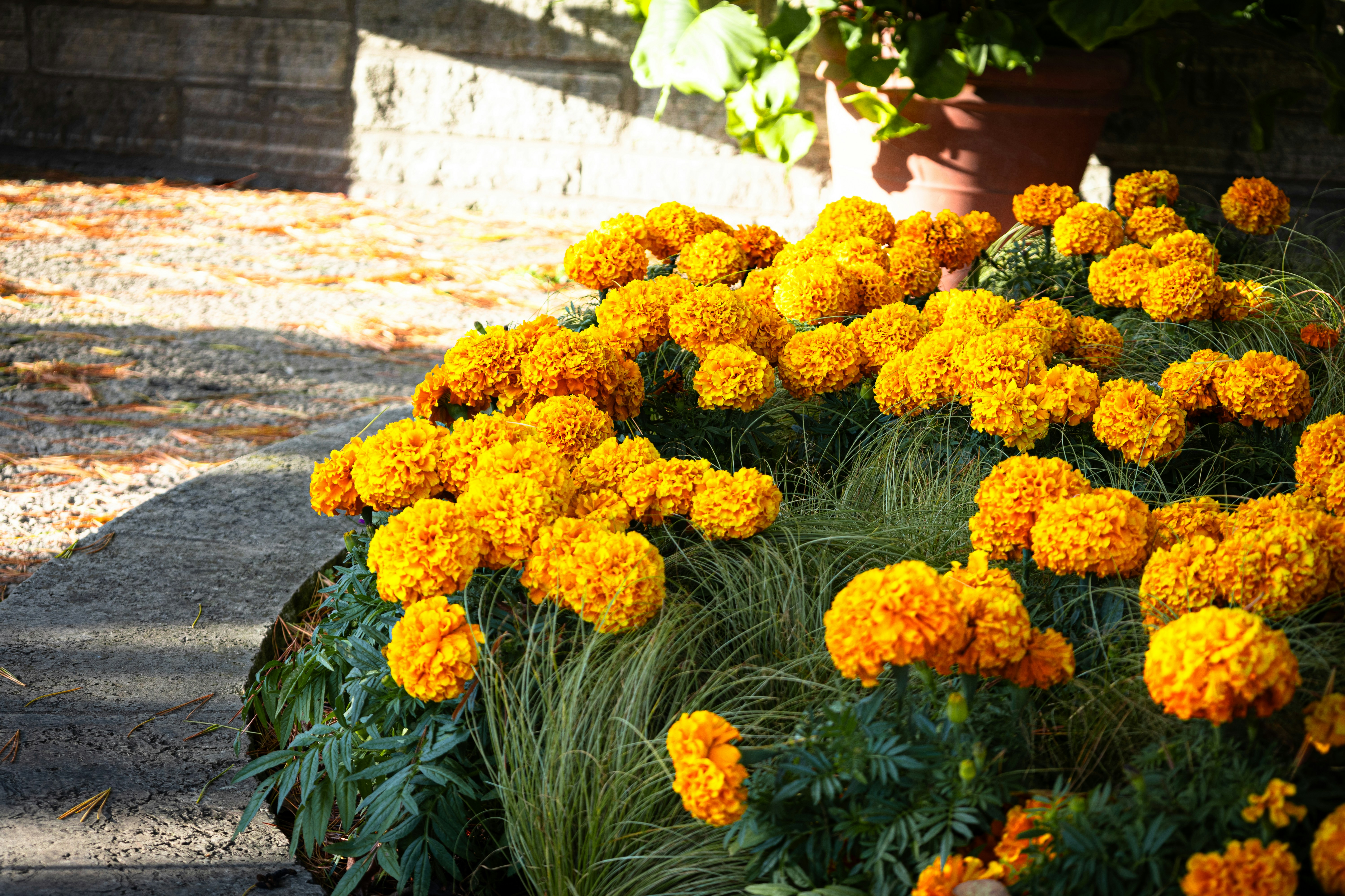 Photo by vincentyuan87