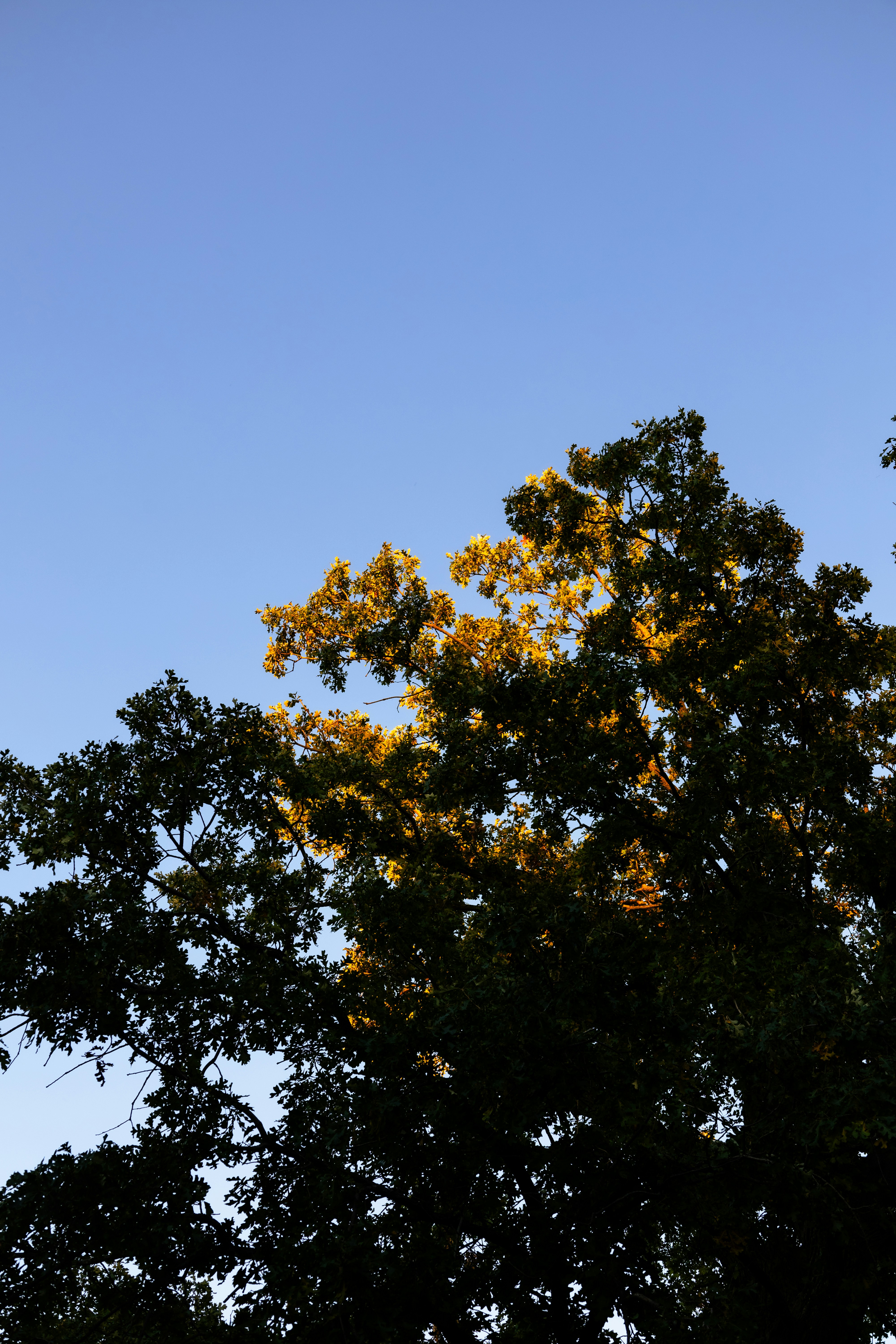 Photo by vincentyuan87