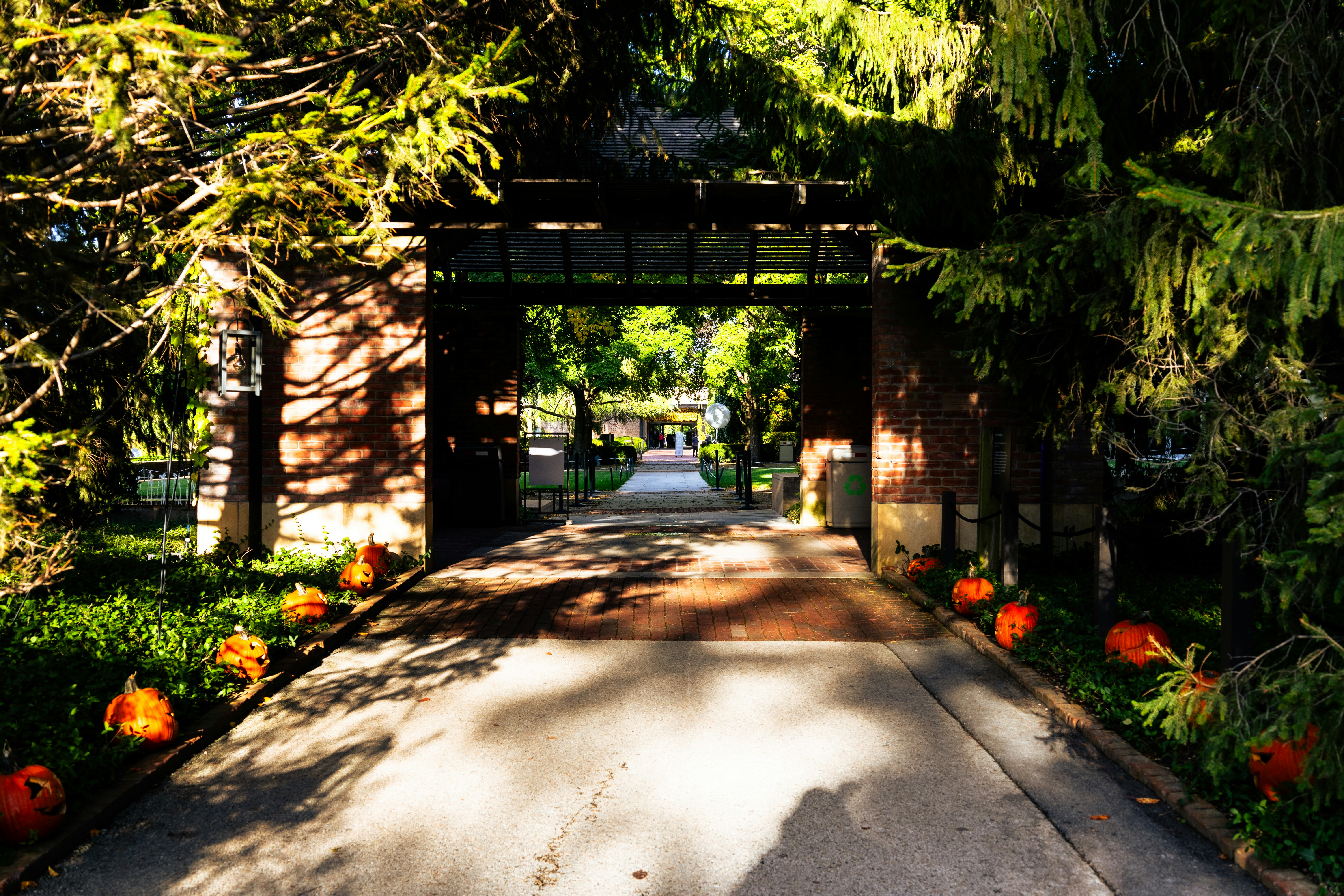 Photo by vincentyuan87