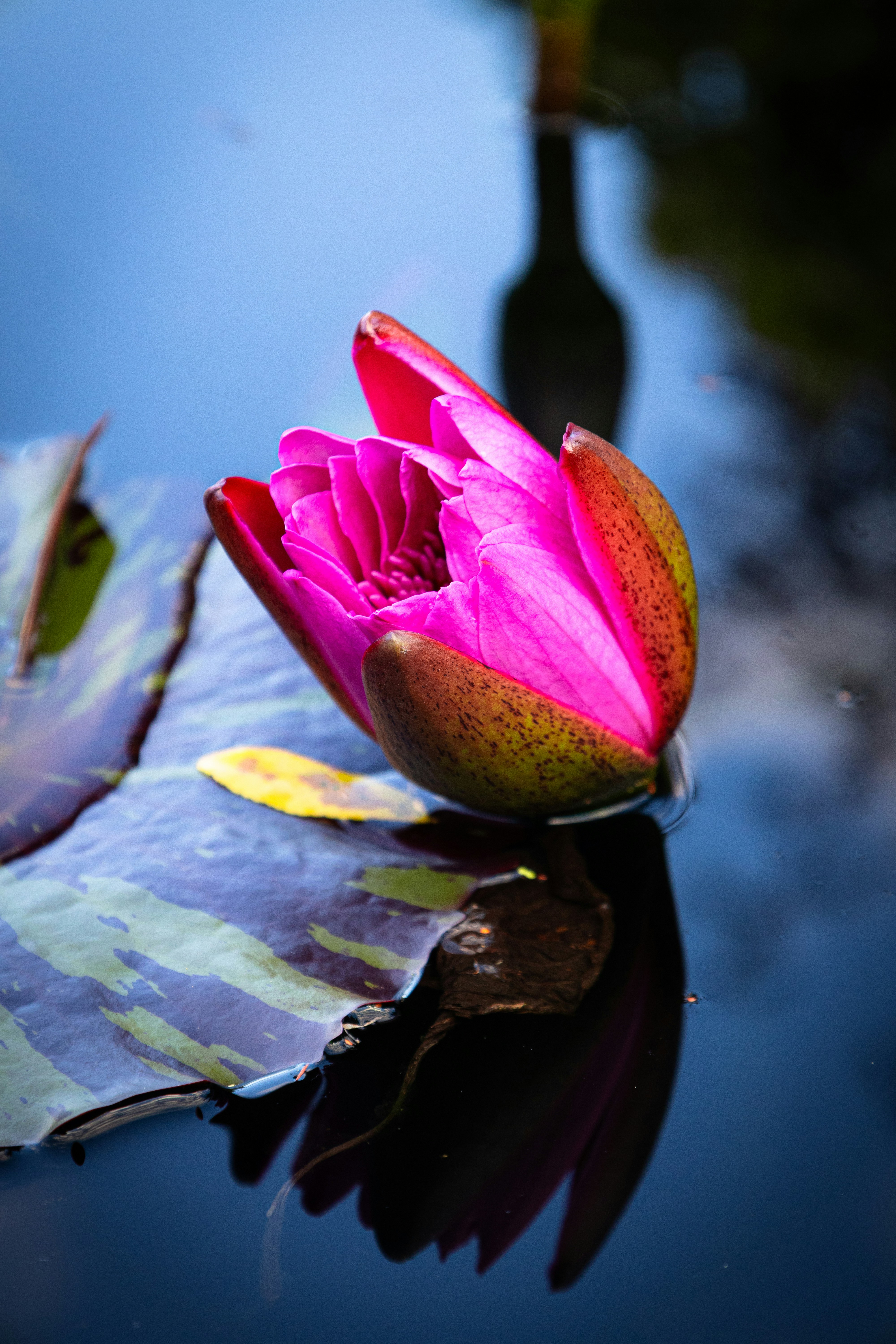 Photo by vincentyuan87