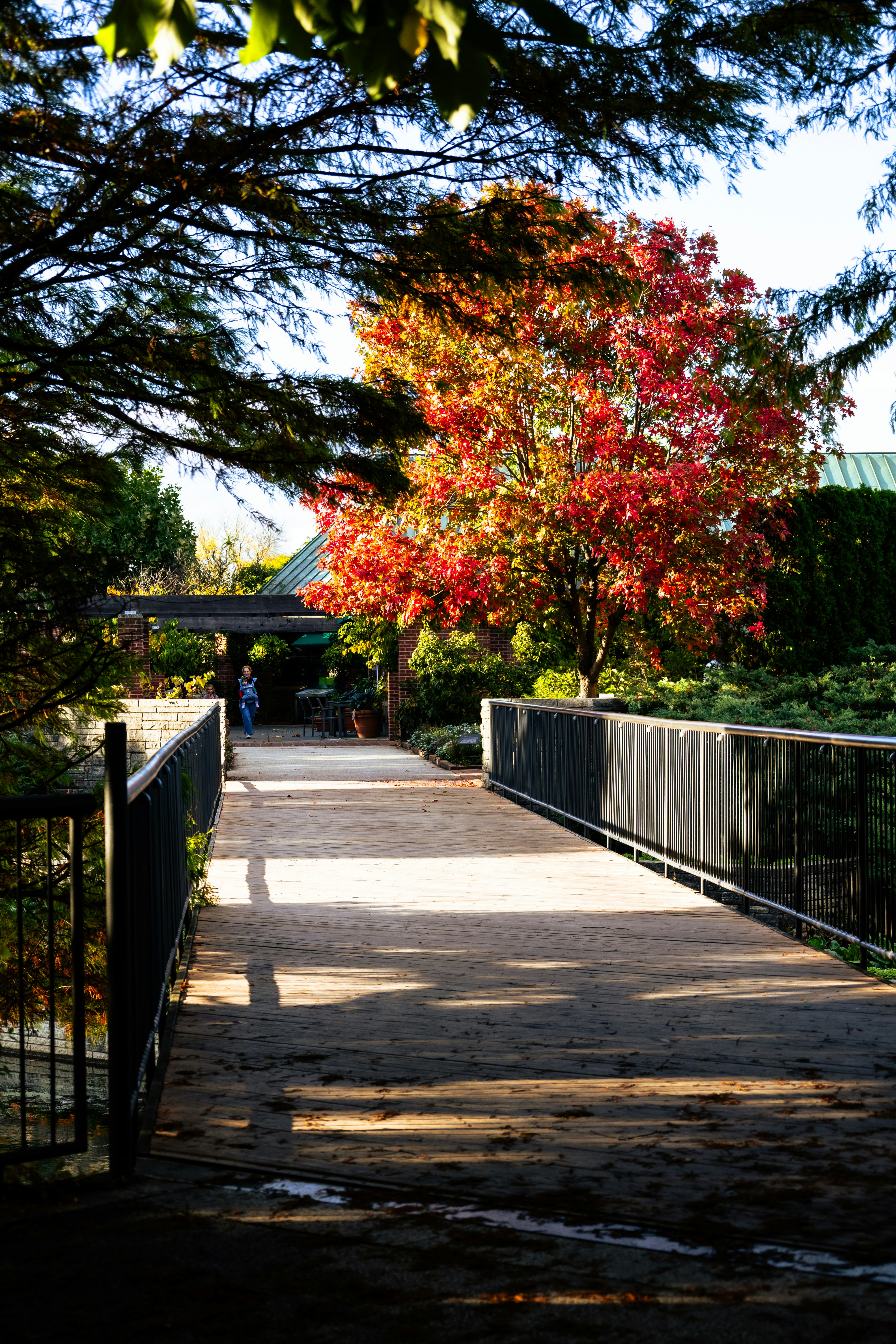 Photo by vincentyuan87