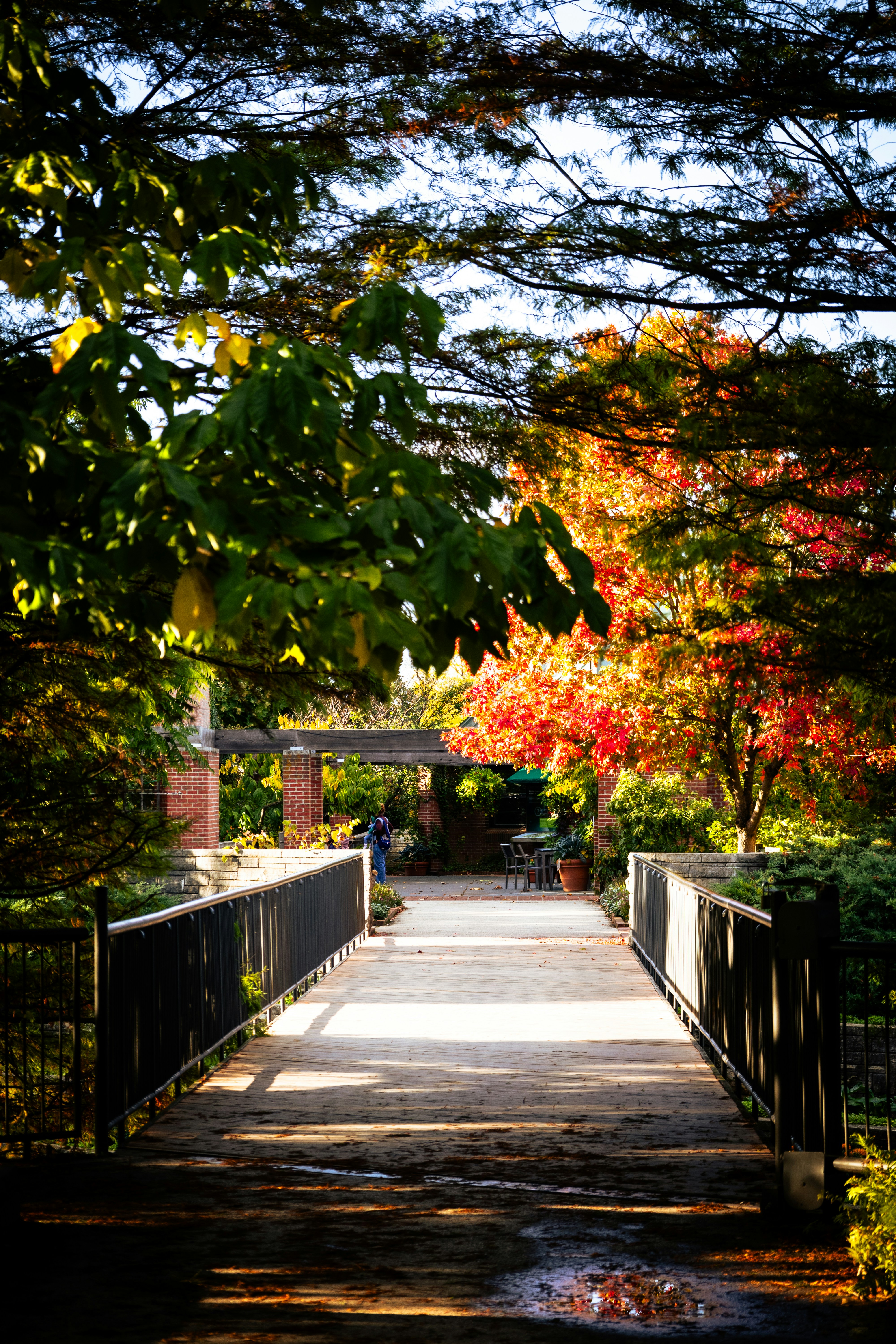 Photo by vincentyuan87